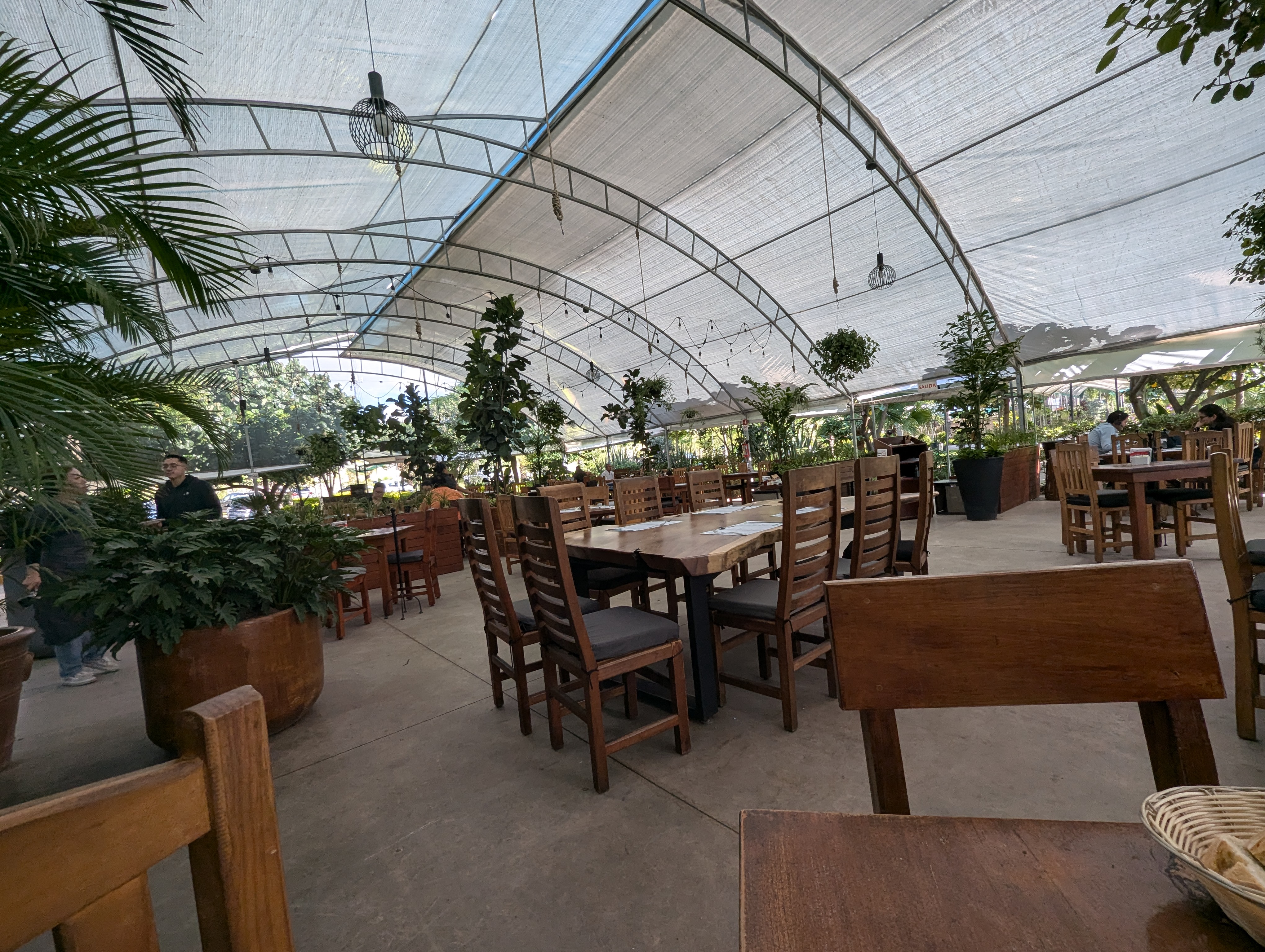 La Planteria Vivero Cafe Bosques image 3