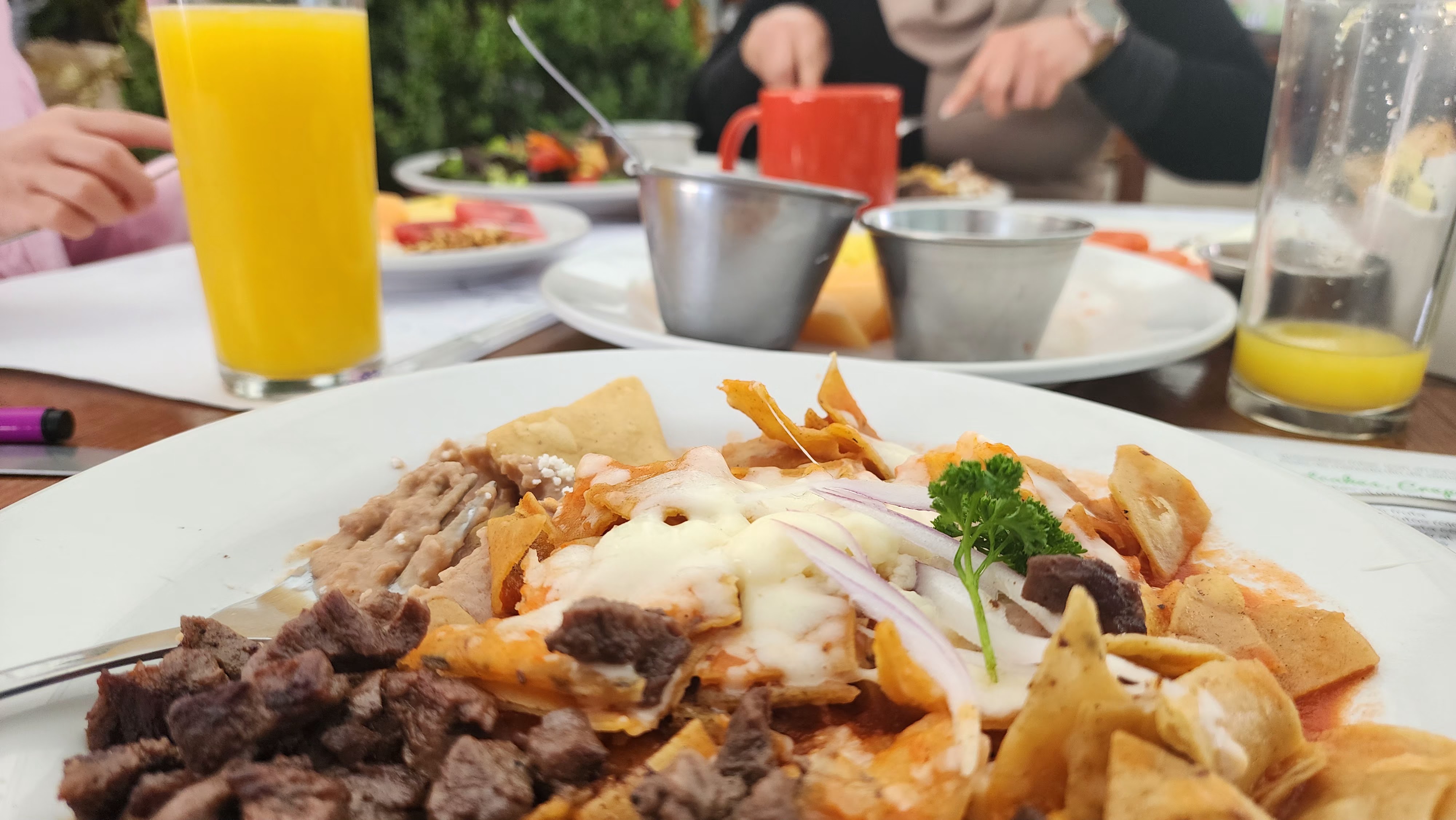 La Planteria Vivero Cafe Bosques image 4