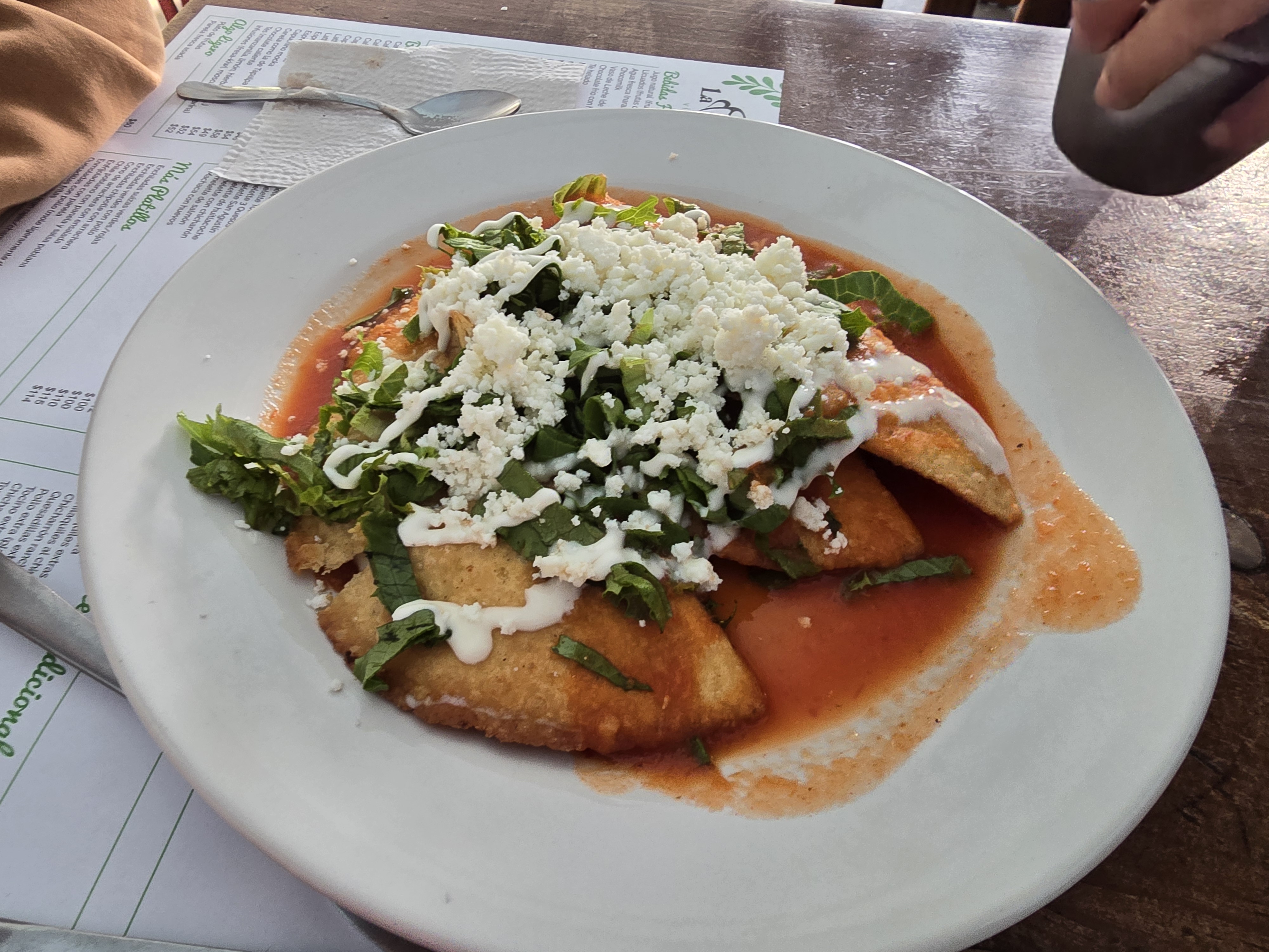 La Planteria Vivero Cafe Bosques image 6