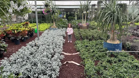 La Planteria Vivero Cafe Bosques image 7