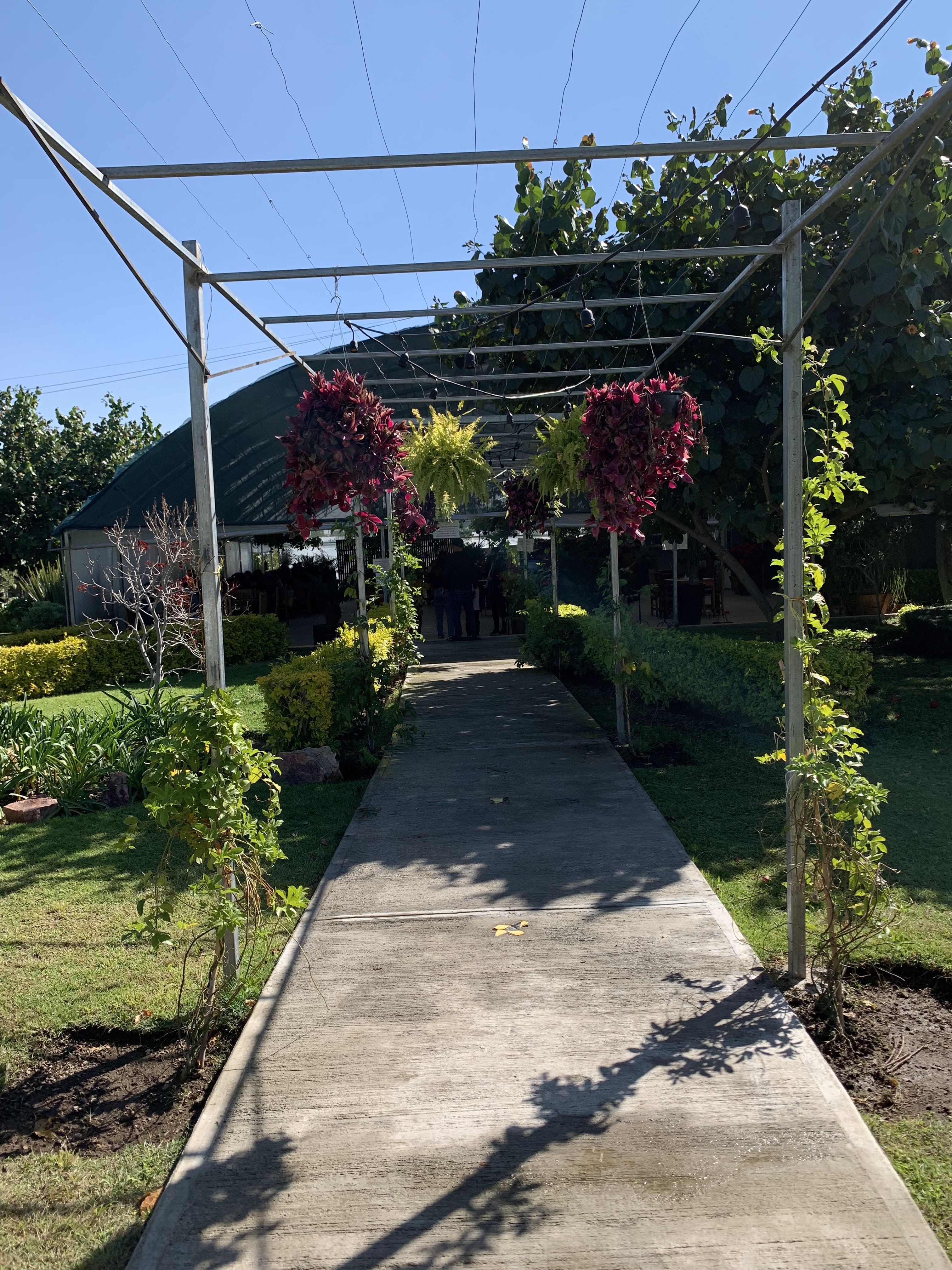 La Planteria Vivero Cafe Bosques image 9