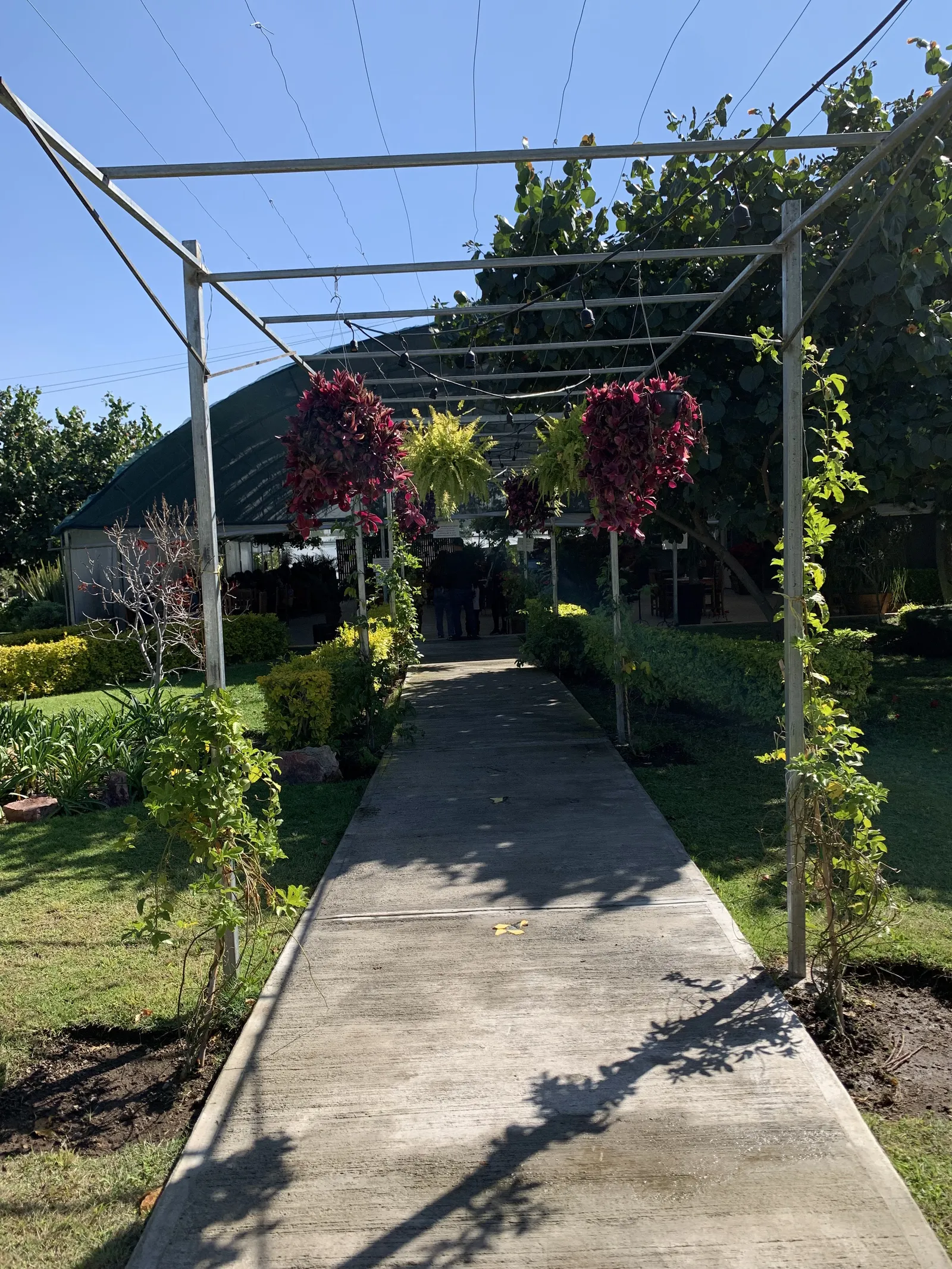 La Planteria Vivero Cafe Bosques image 9