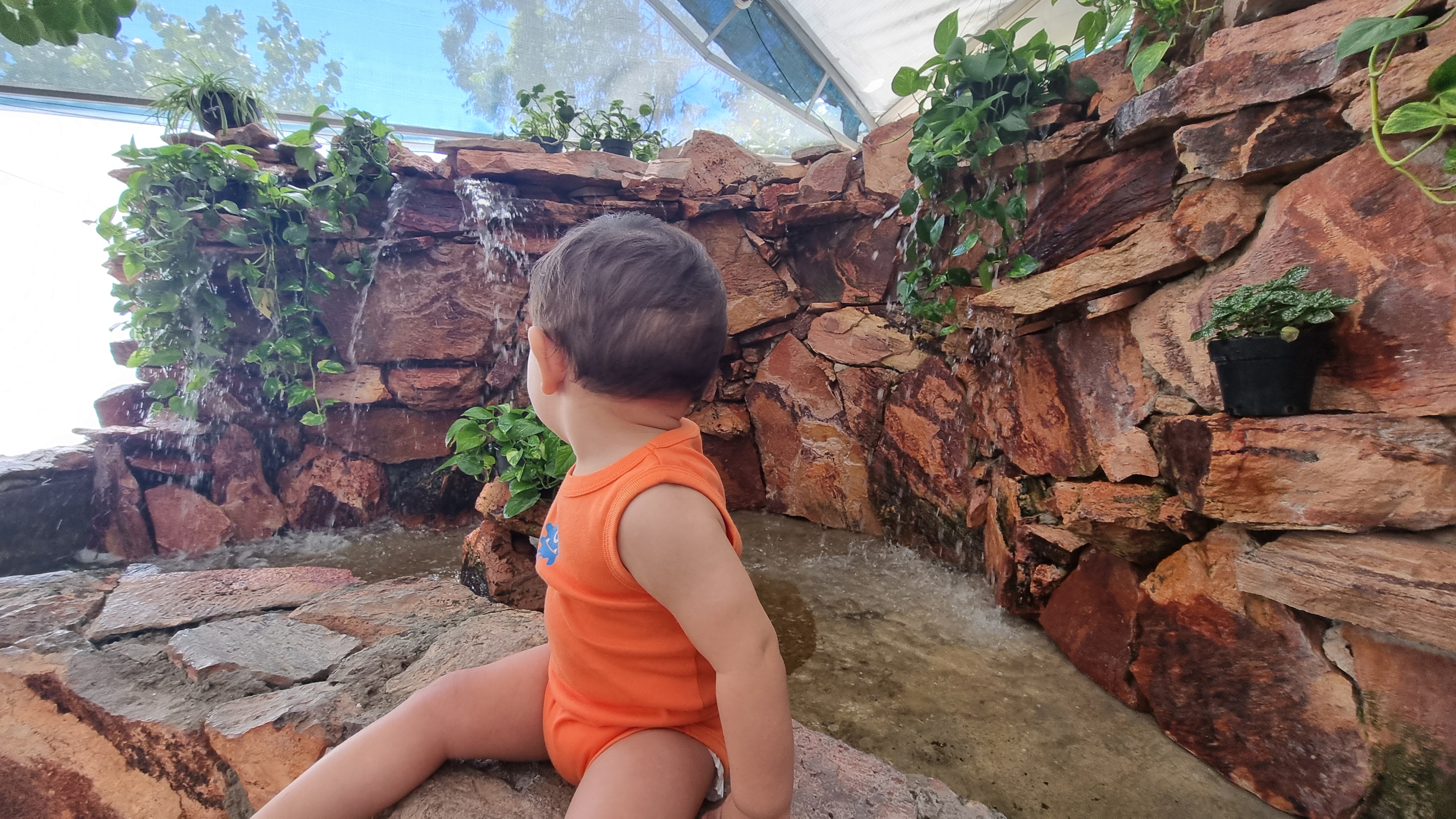 La Planteria Vivero Cafe Bosques image 10