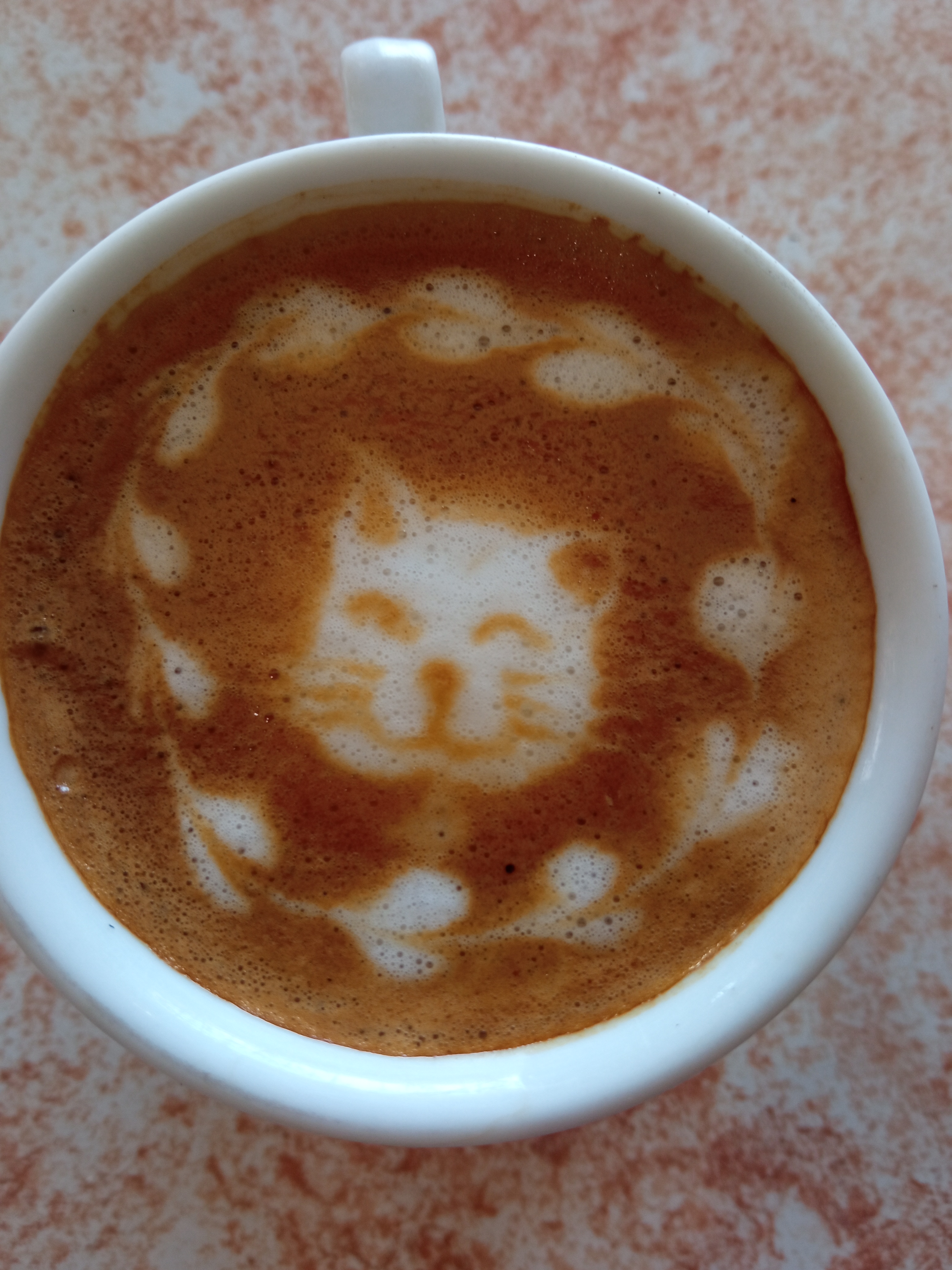 TAZZINA COFFEE image 9