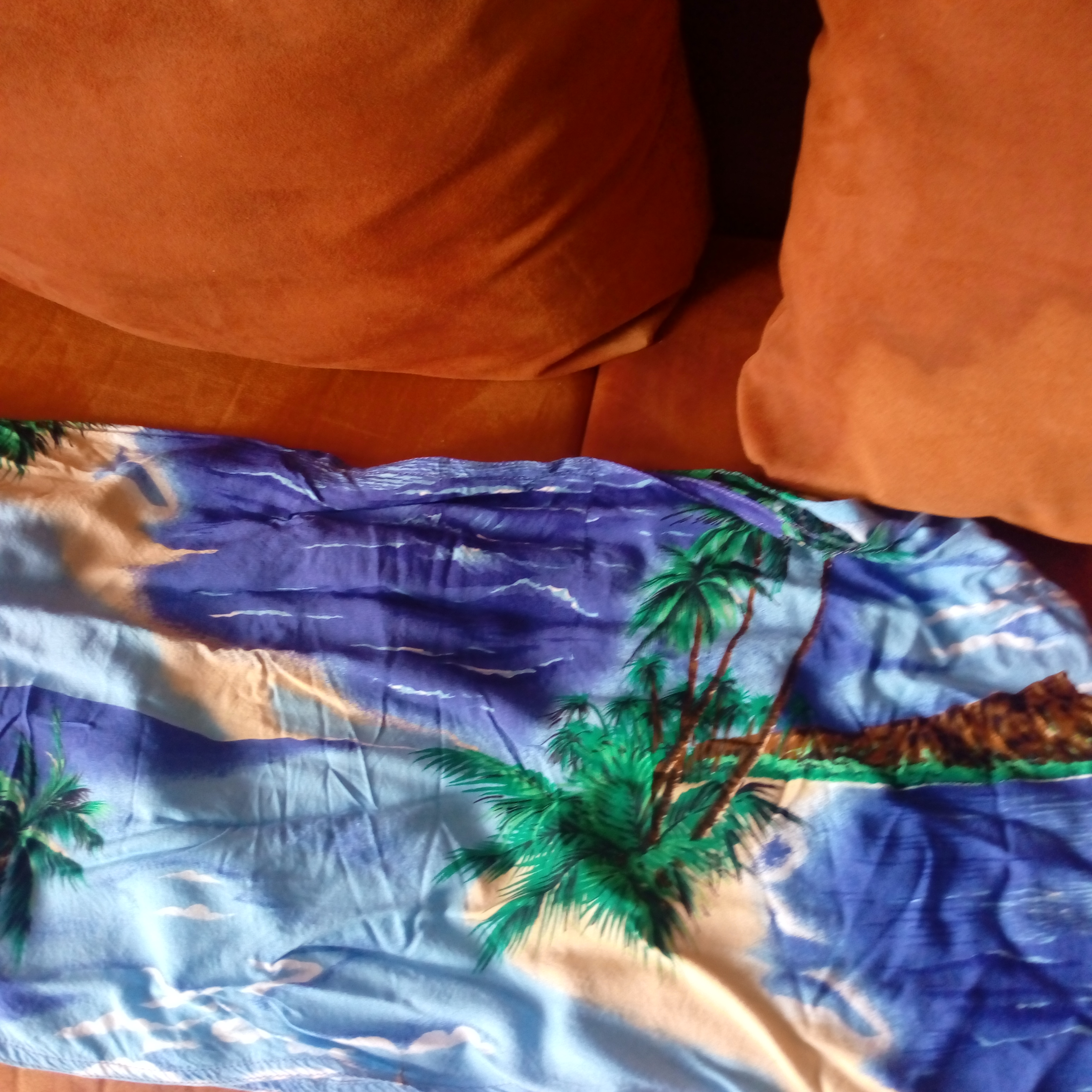 El Pollo Bronco image 2