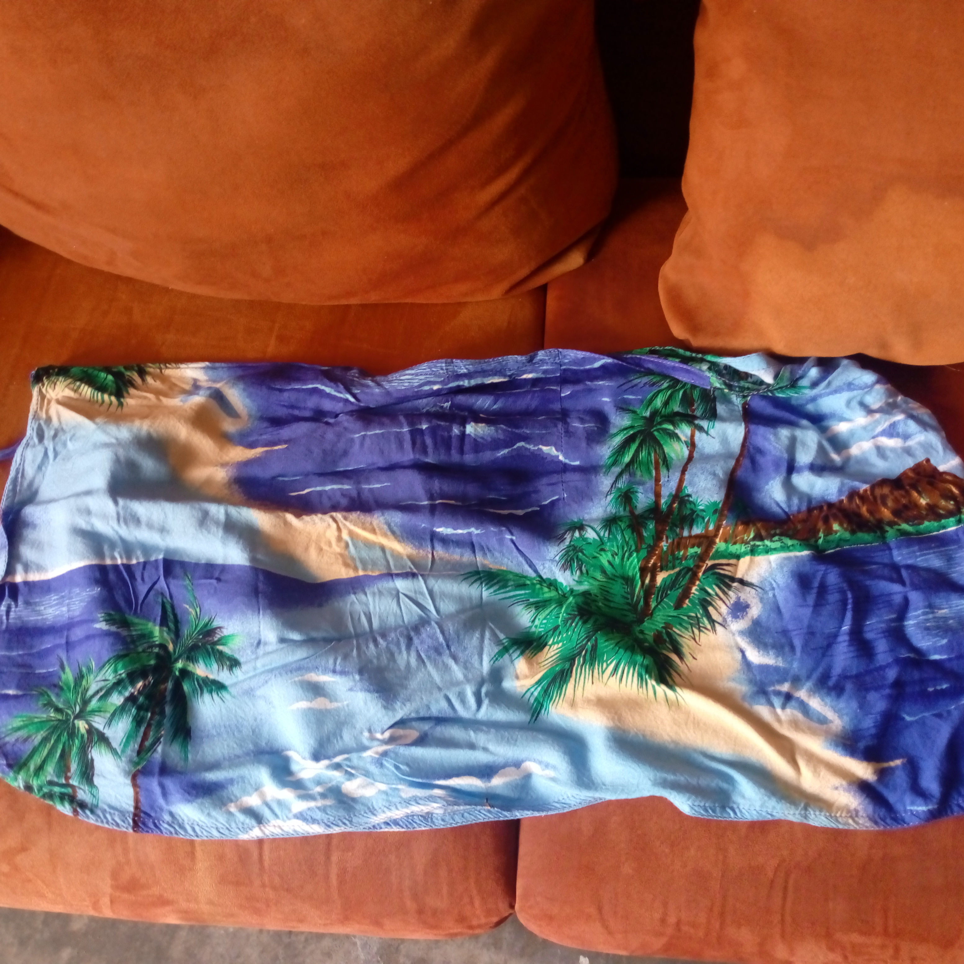 El Pollo Bronco image 7