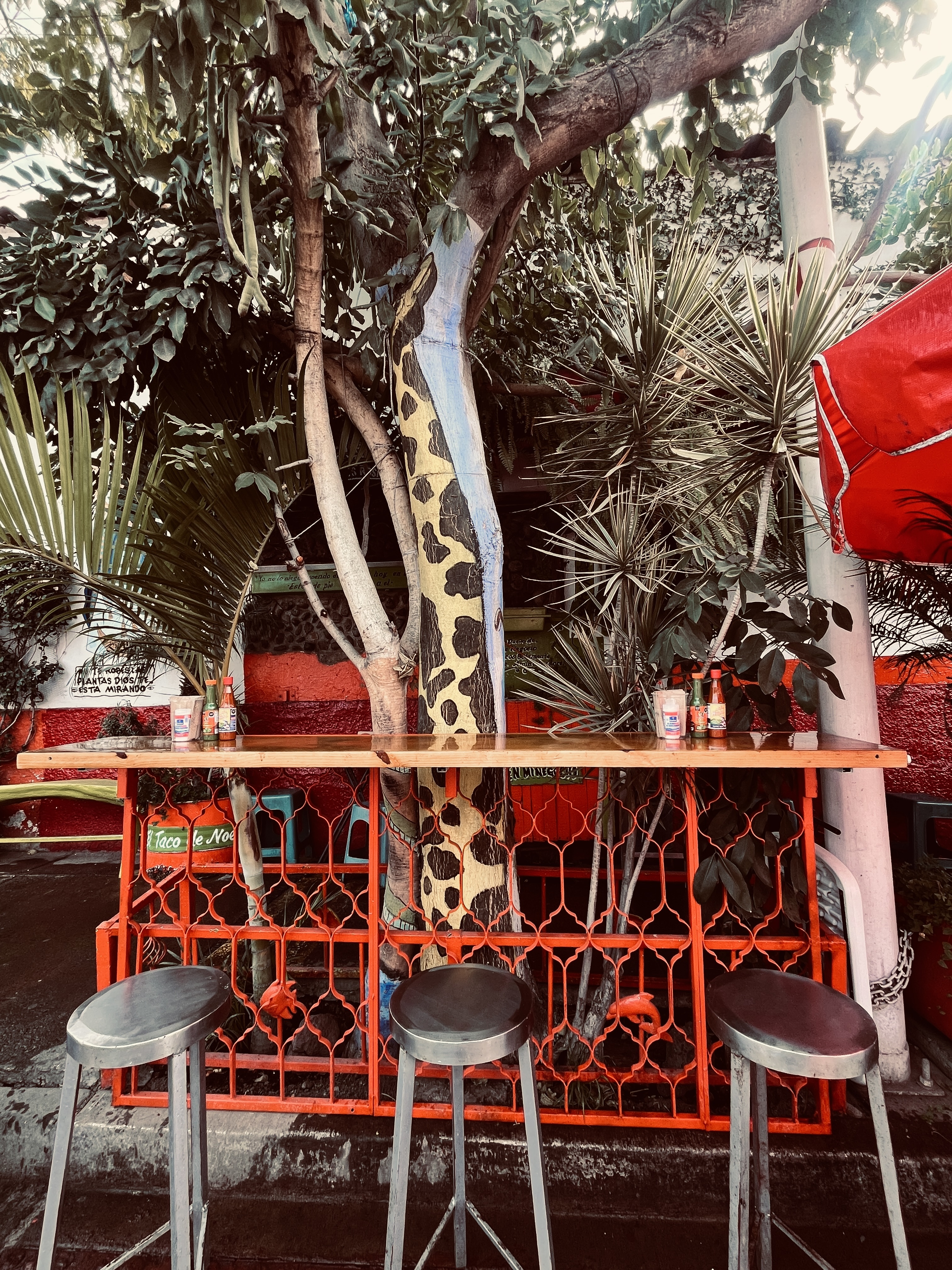 El Taco De Noe image 6