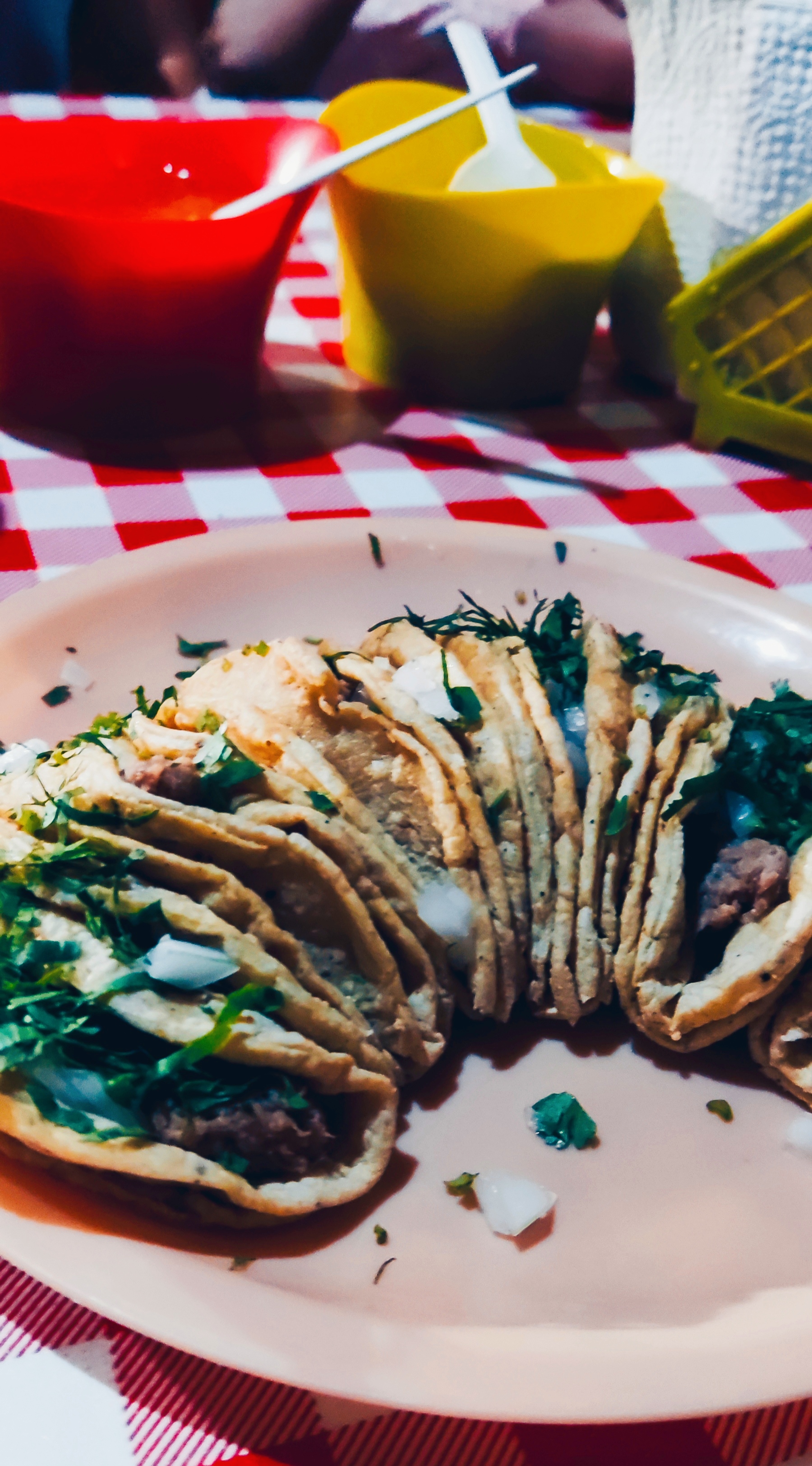 Tacos de carnaza Ceci image 5