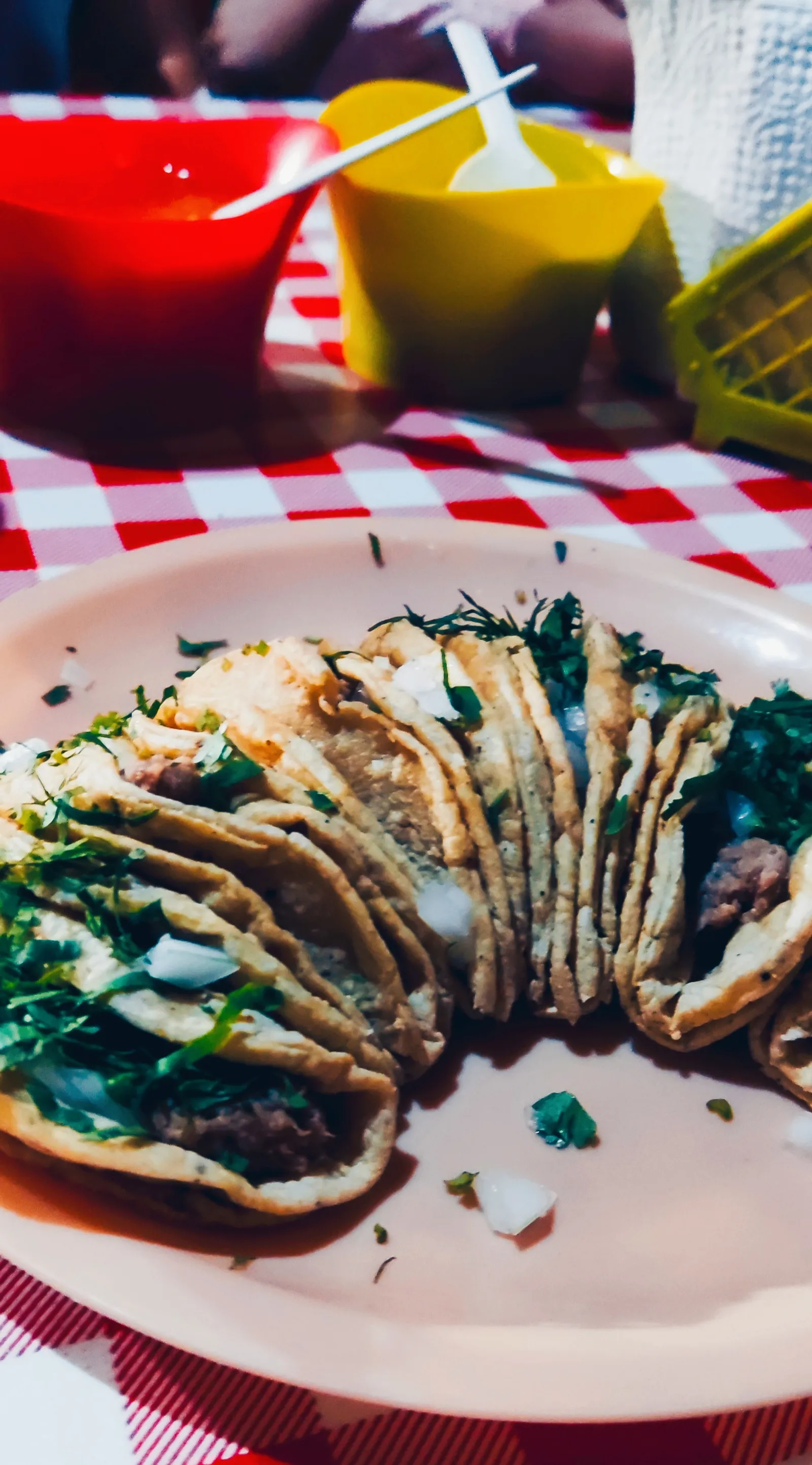 Tacos de carnaza Ceci image 5