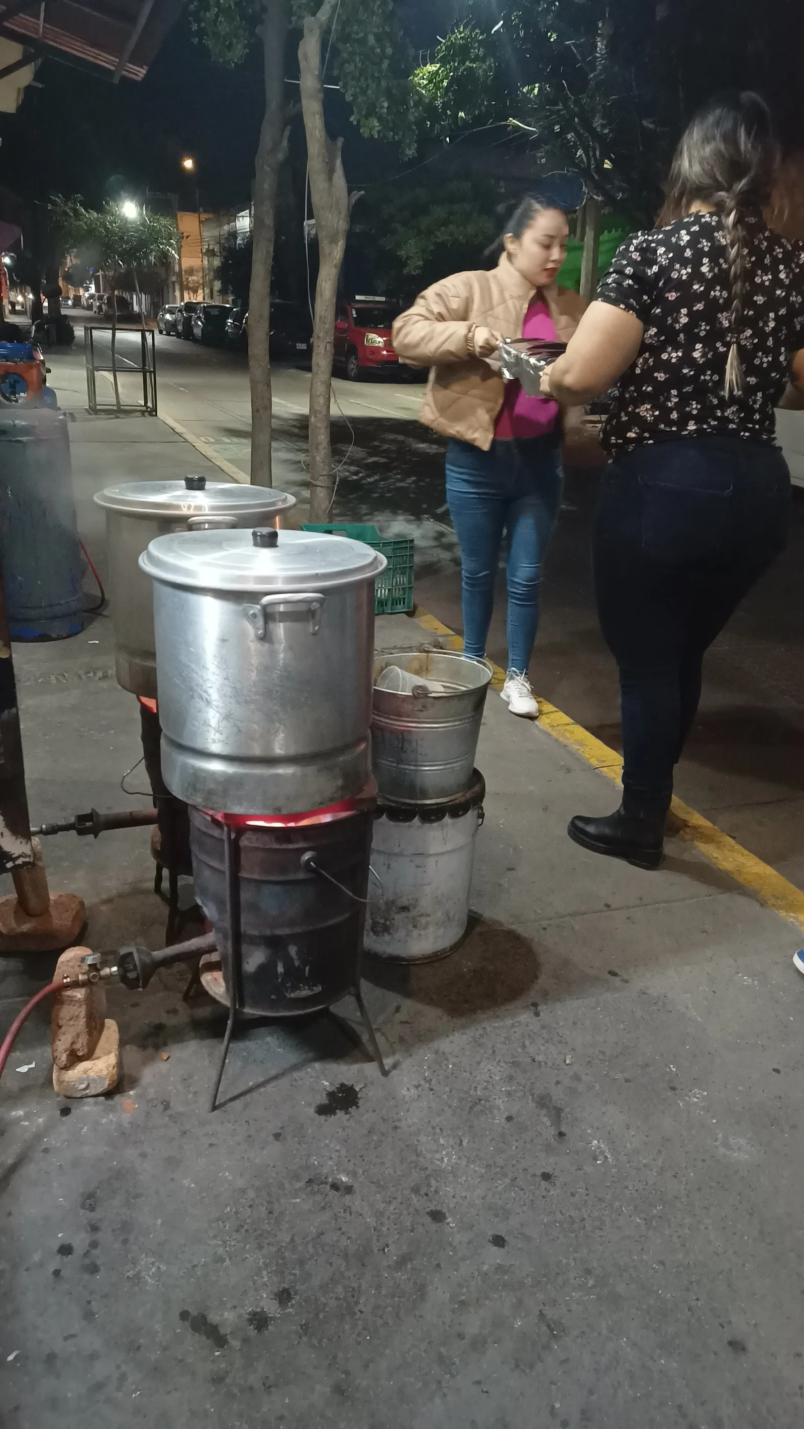 Tacos de carnaza Ceci image 8