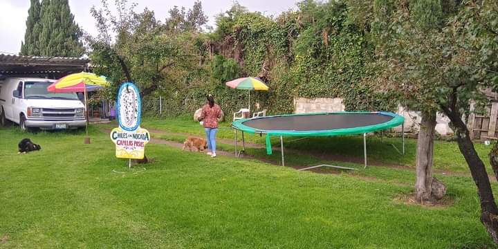 Capillas Posas Chiles en Nogada image 8