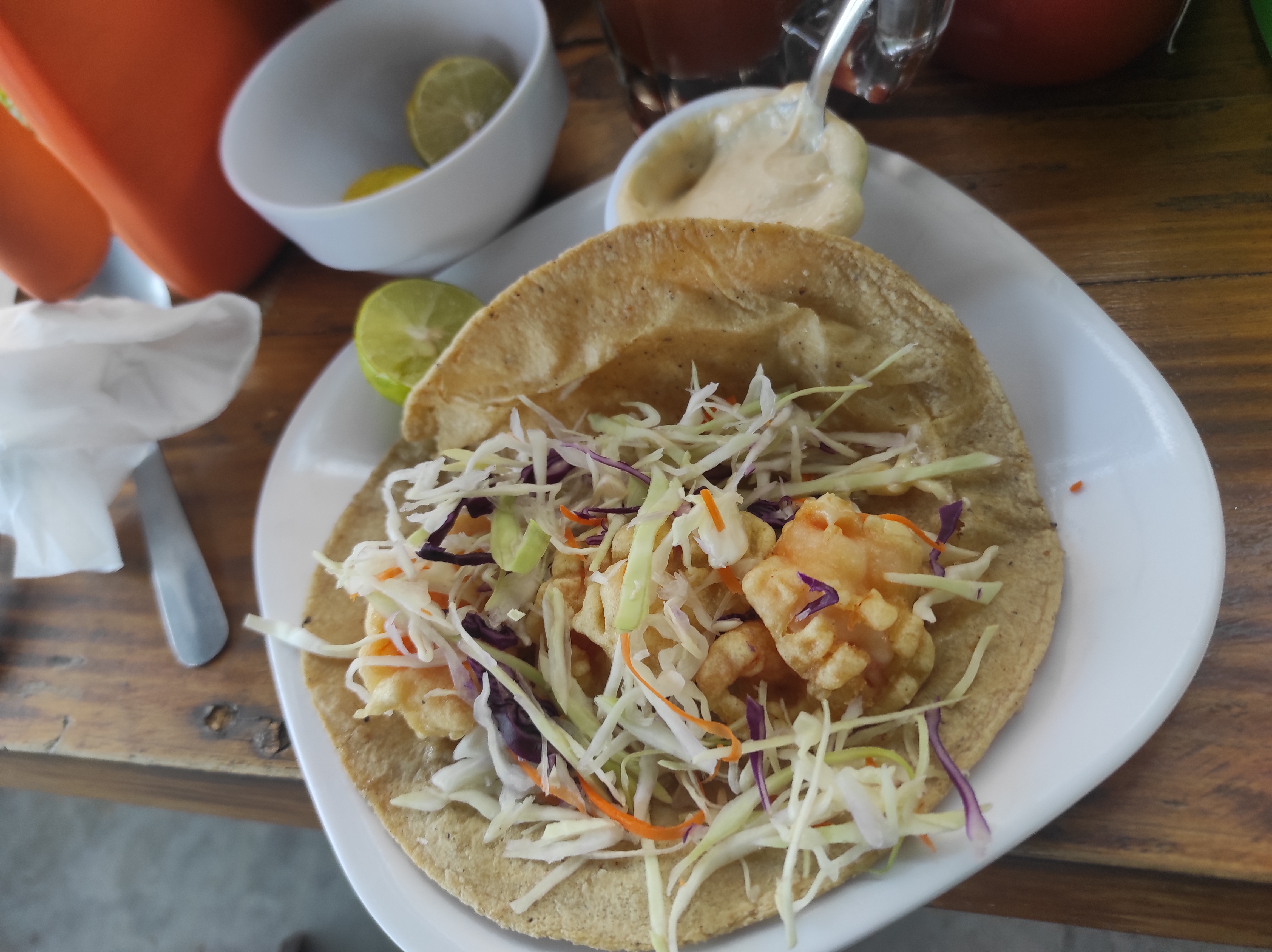 Santo Camarón Insurgentes image 9