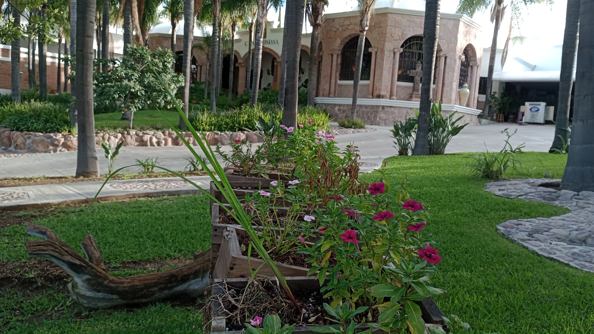 Casa Martiniana image 6