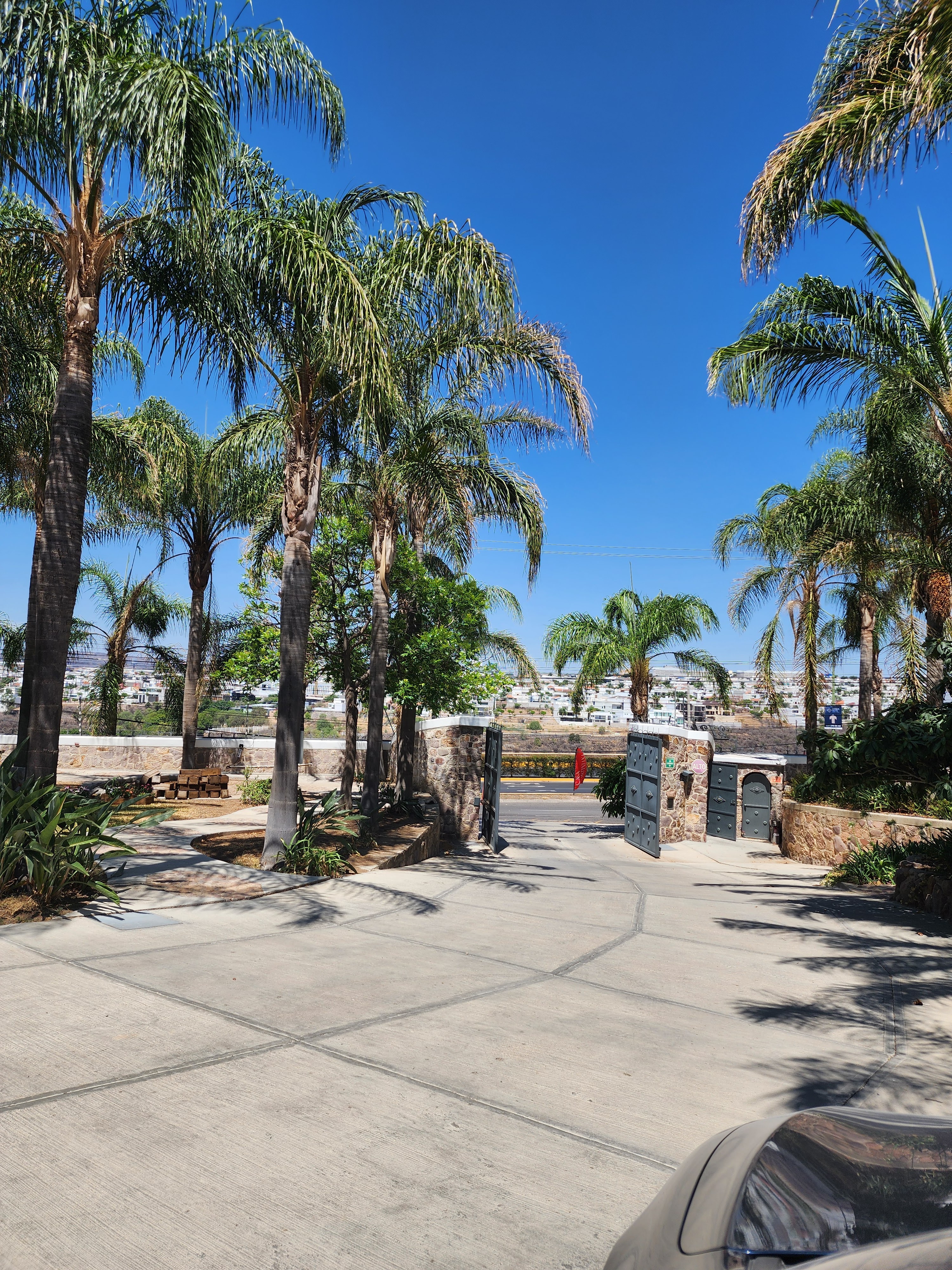 Casa Martiniana image 8