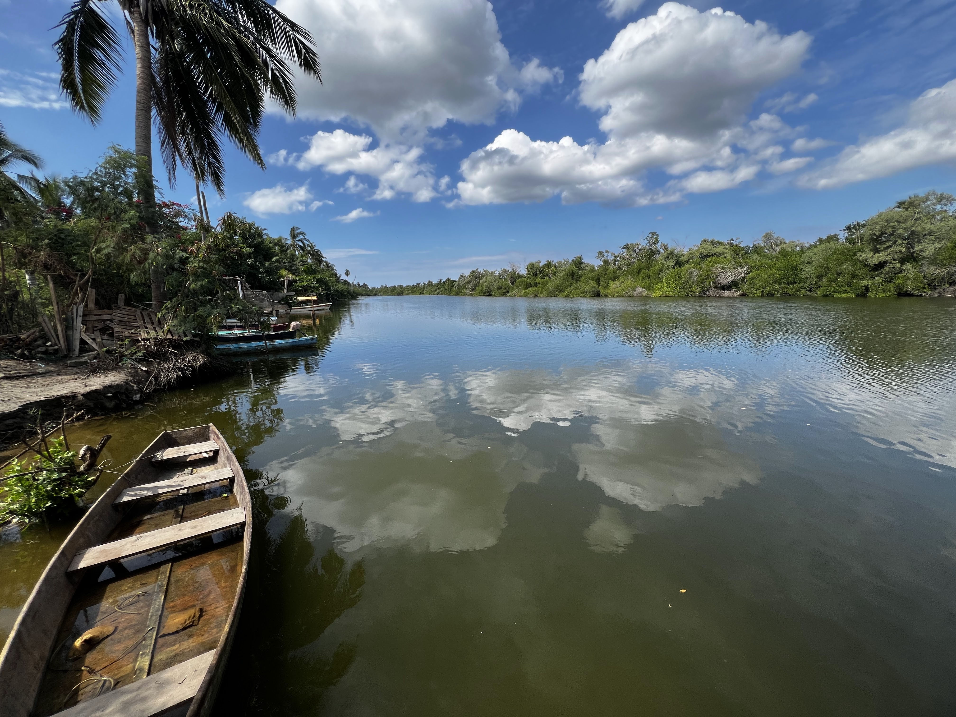 El Pescadito image 4