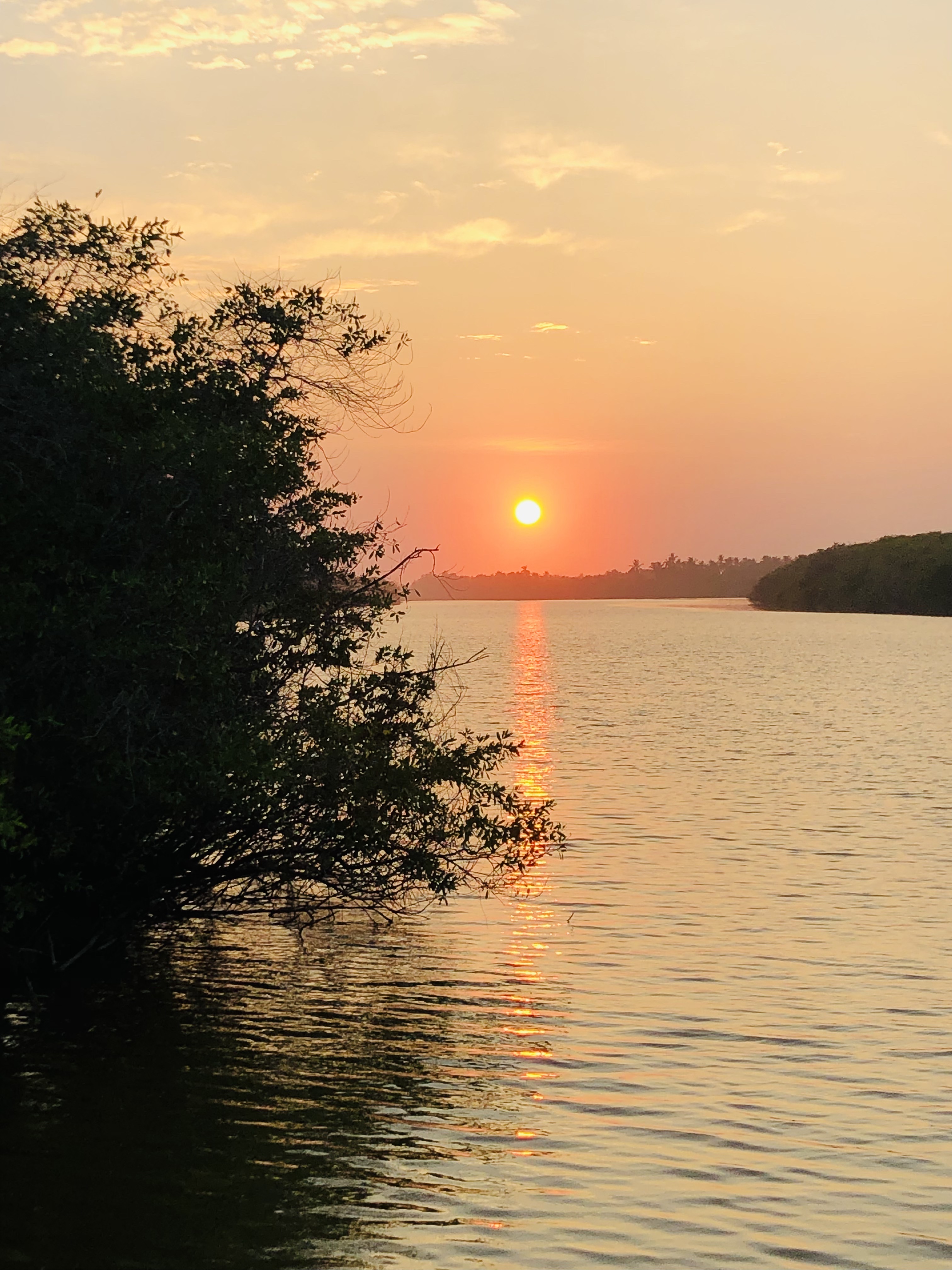 Restaurant Oroly image 5