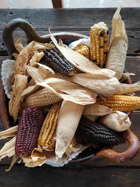 Los tikytos image 2