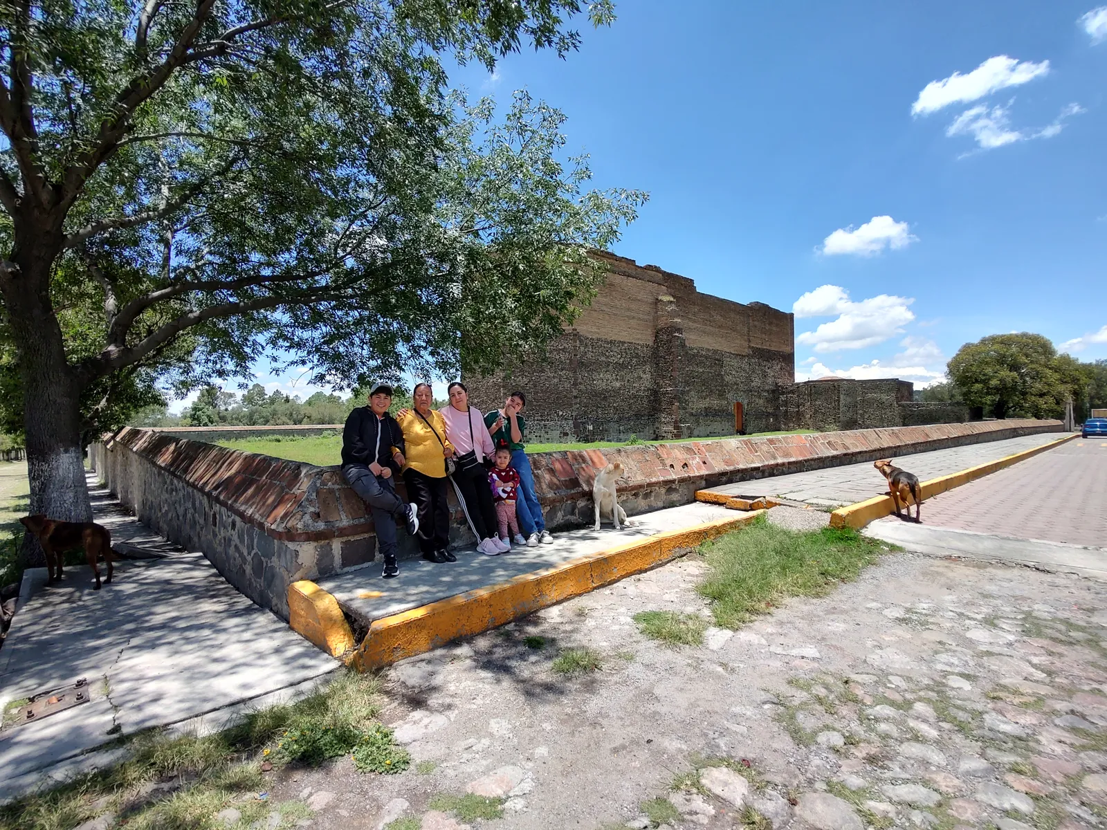 Los tikytos image 6
