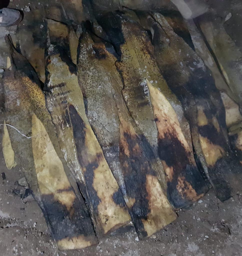 Barbacoa Por Mientras image 9