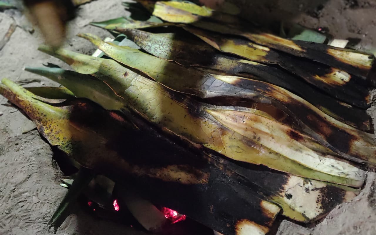 Barbacoa Por Mientras image 10