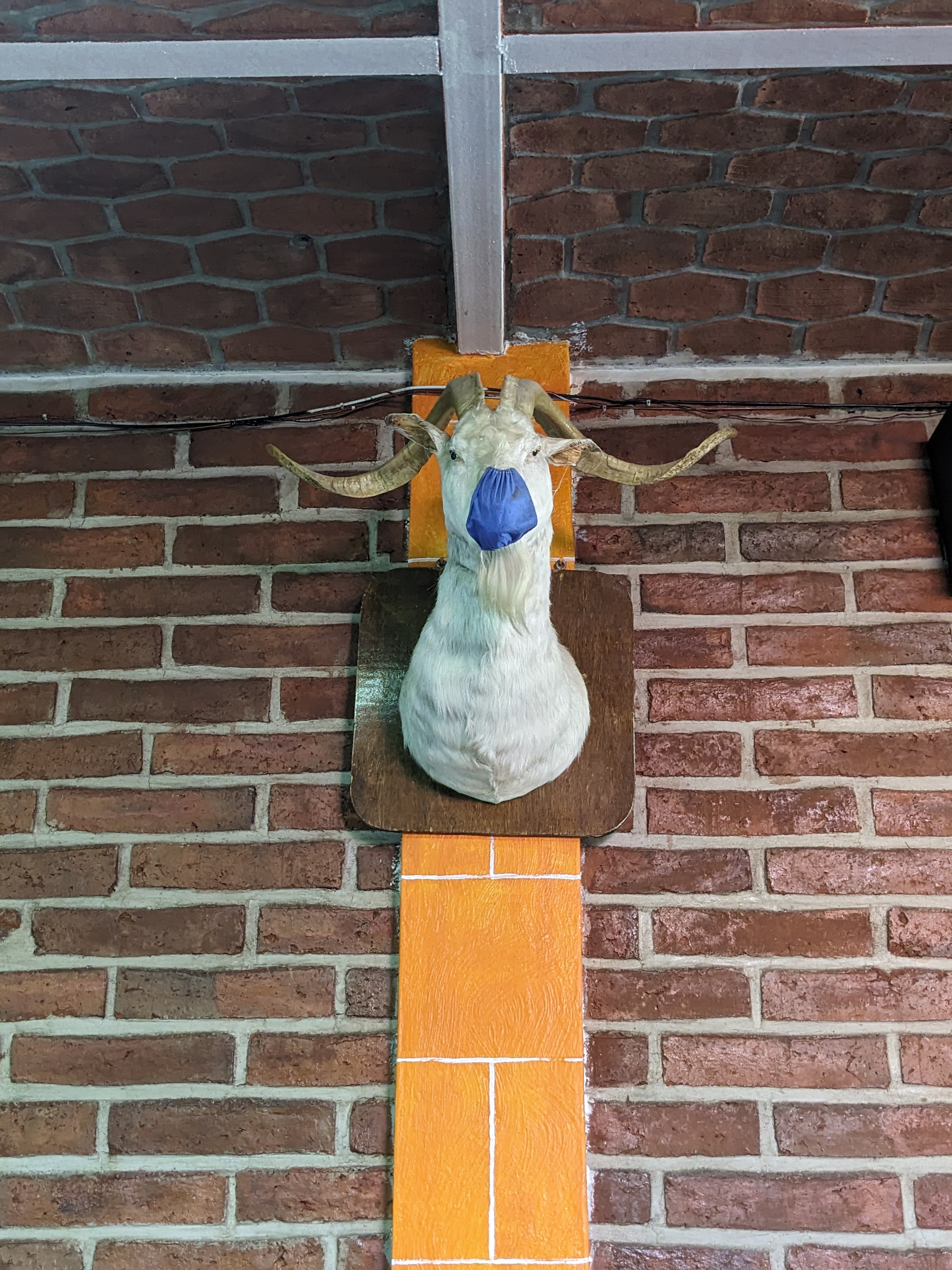 Birrieria Pancho suc. Juárez image 5