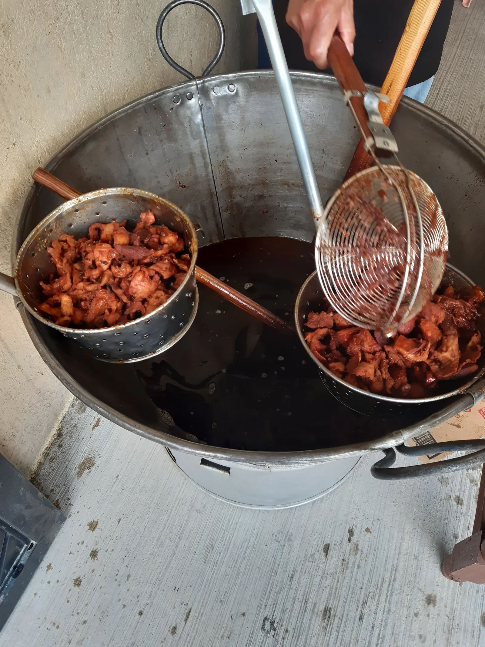 CARNITAS ROY image 7