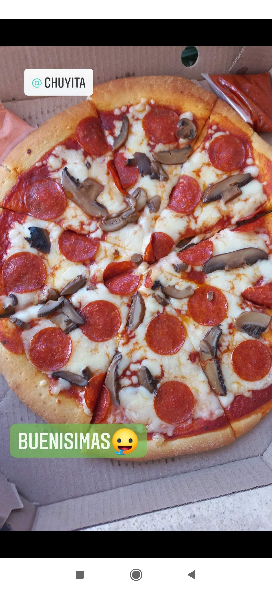 La pizza del campo image 6