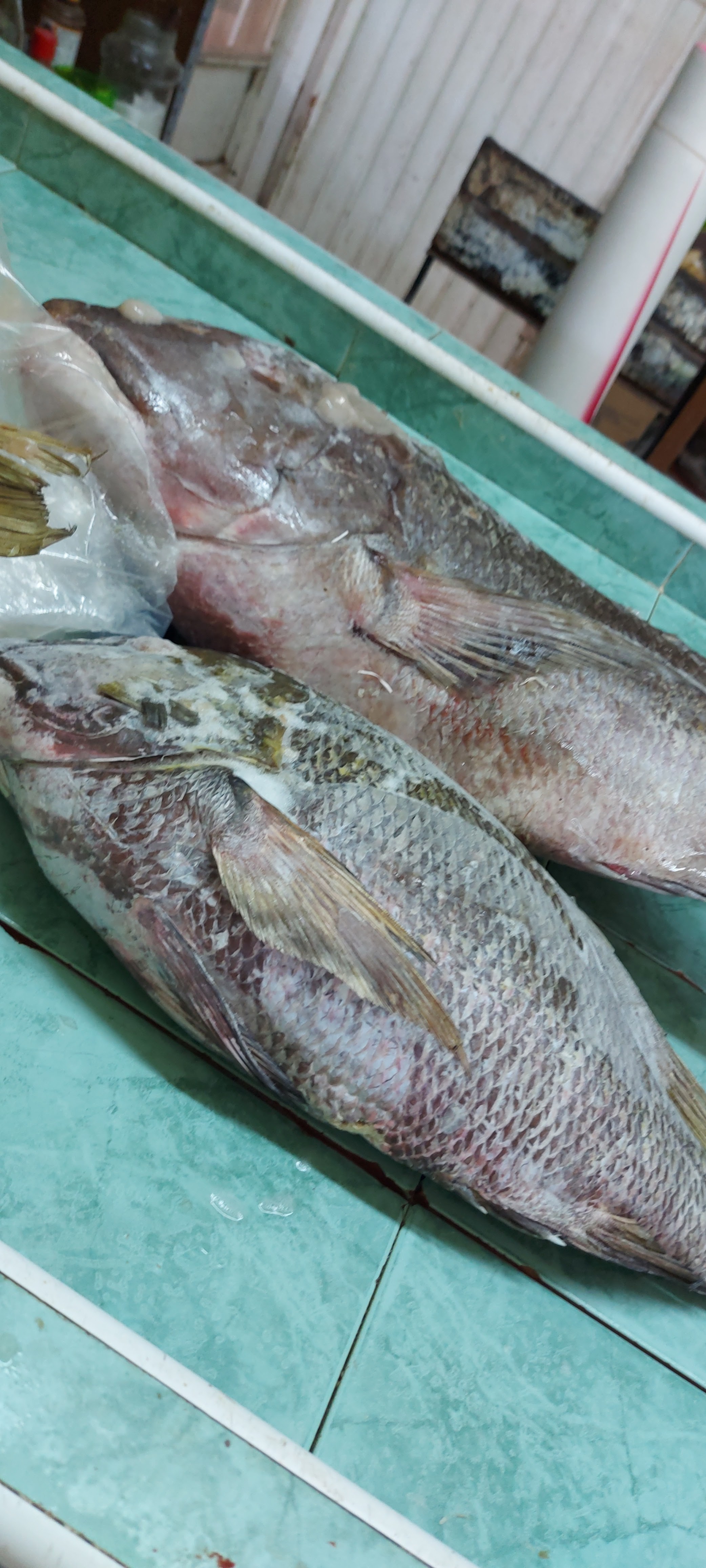 Pescaderia del fuerte image 6