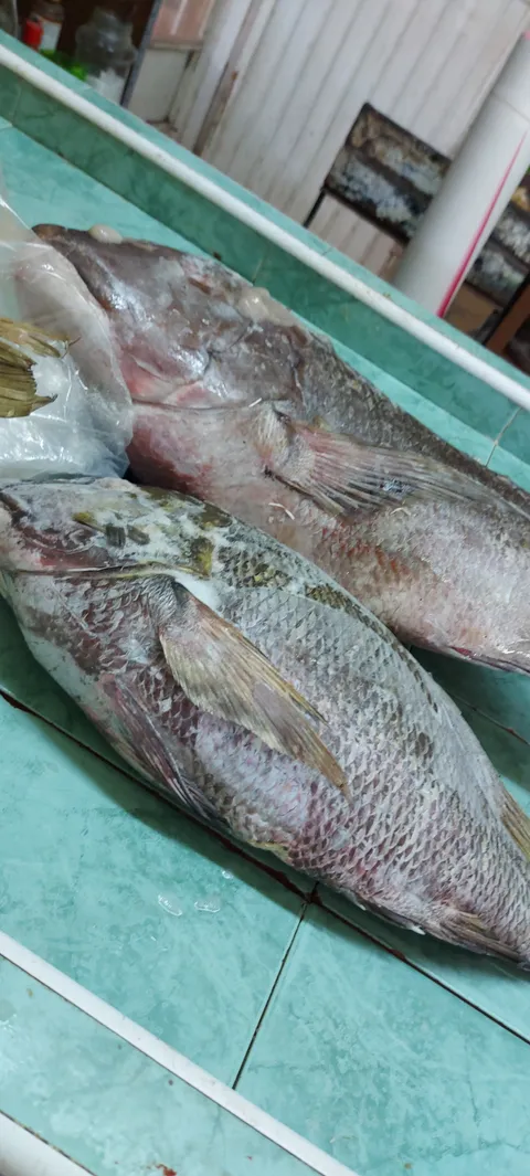Pescaderia del fuerte image 6