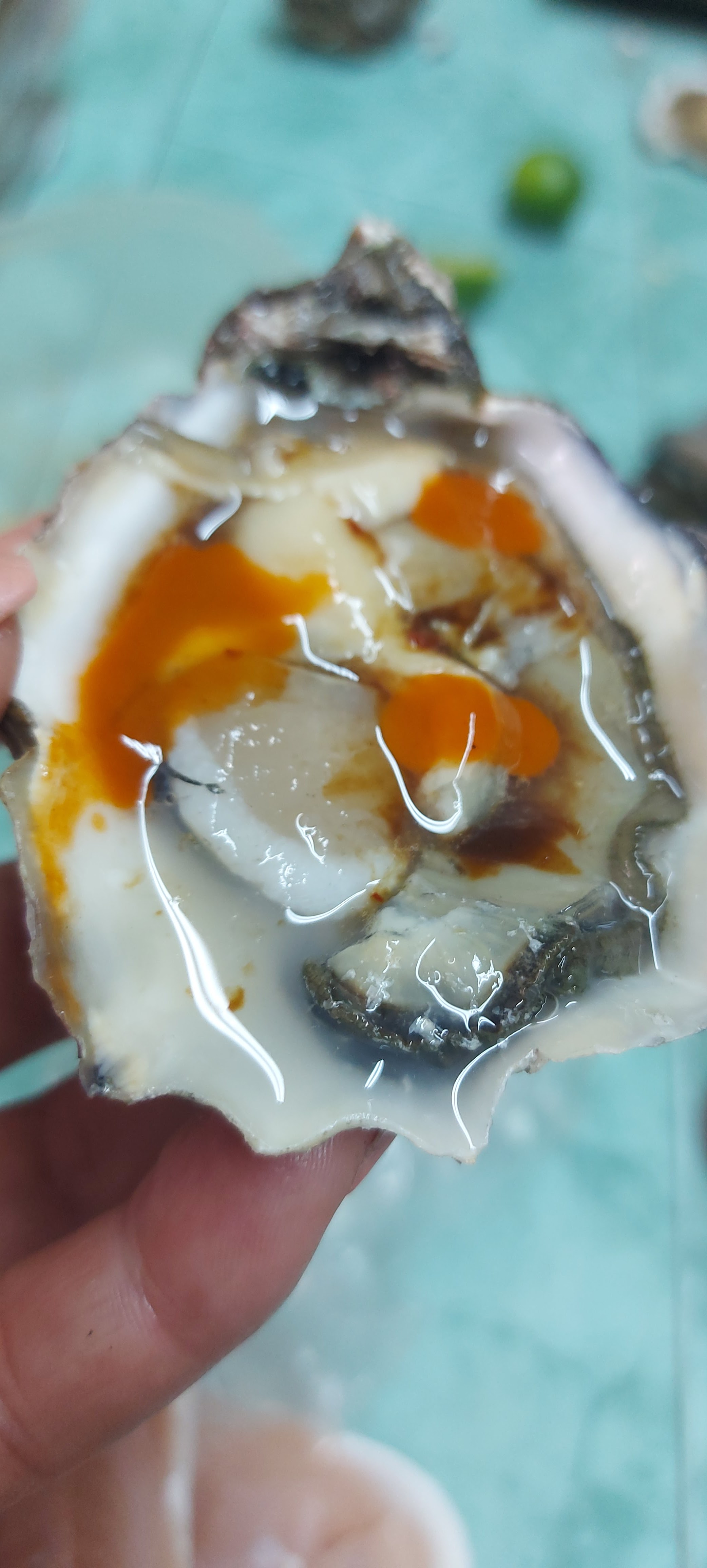 Pescaderia del fuerte image 9