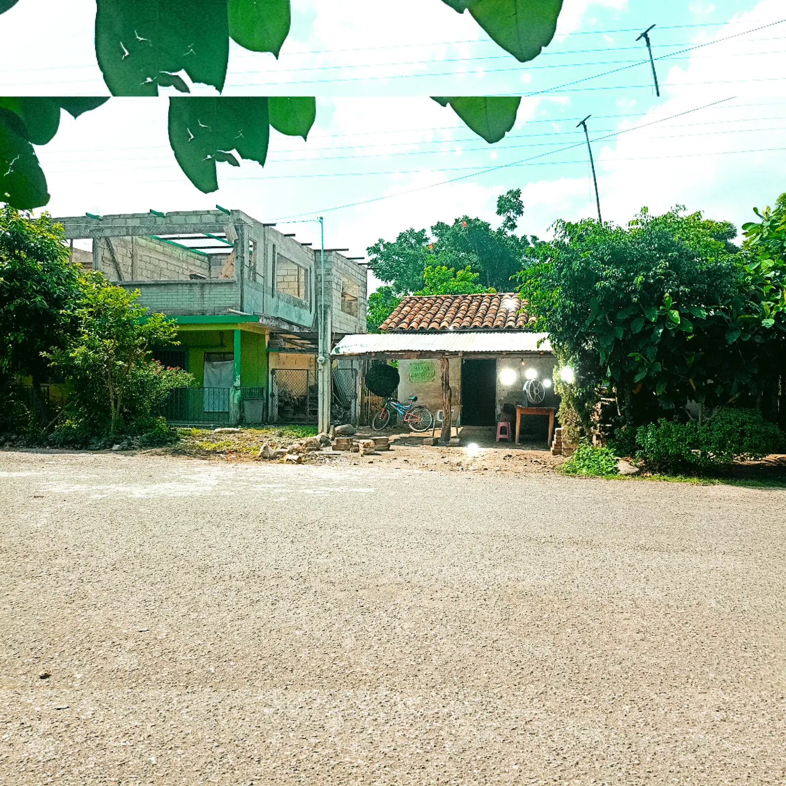 TAQUERÍA "FUNDADORA" image 5