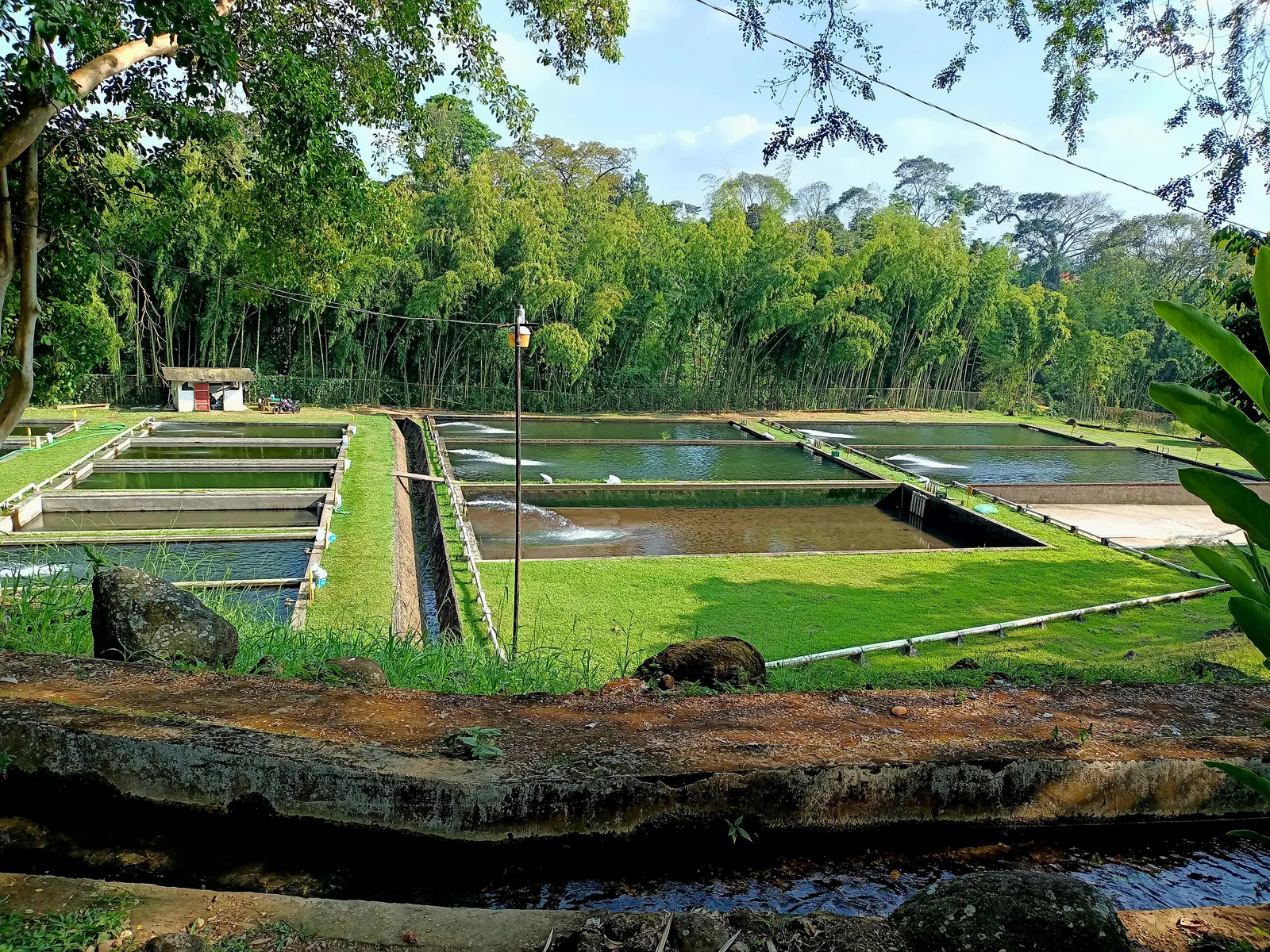 Villa de las Hortensias image 6