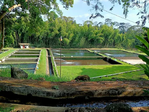 Villa de las Hortensias image 6