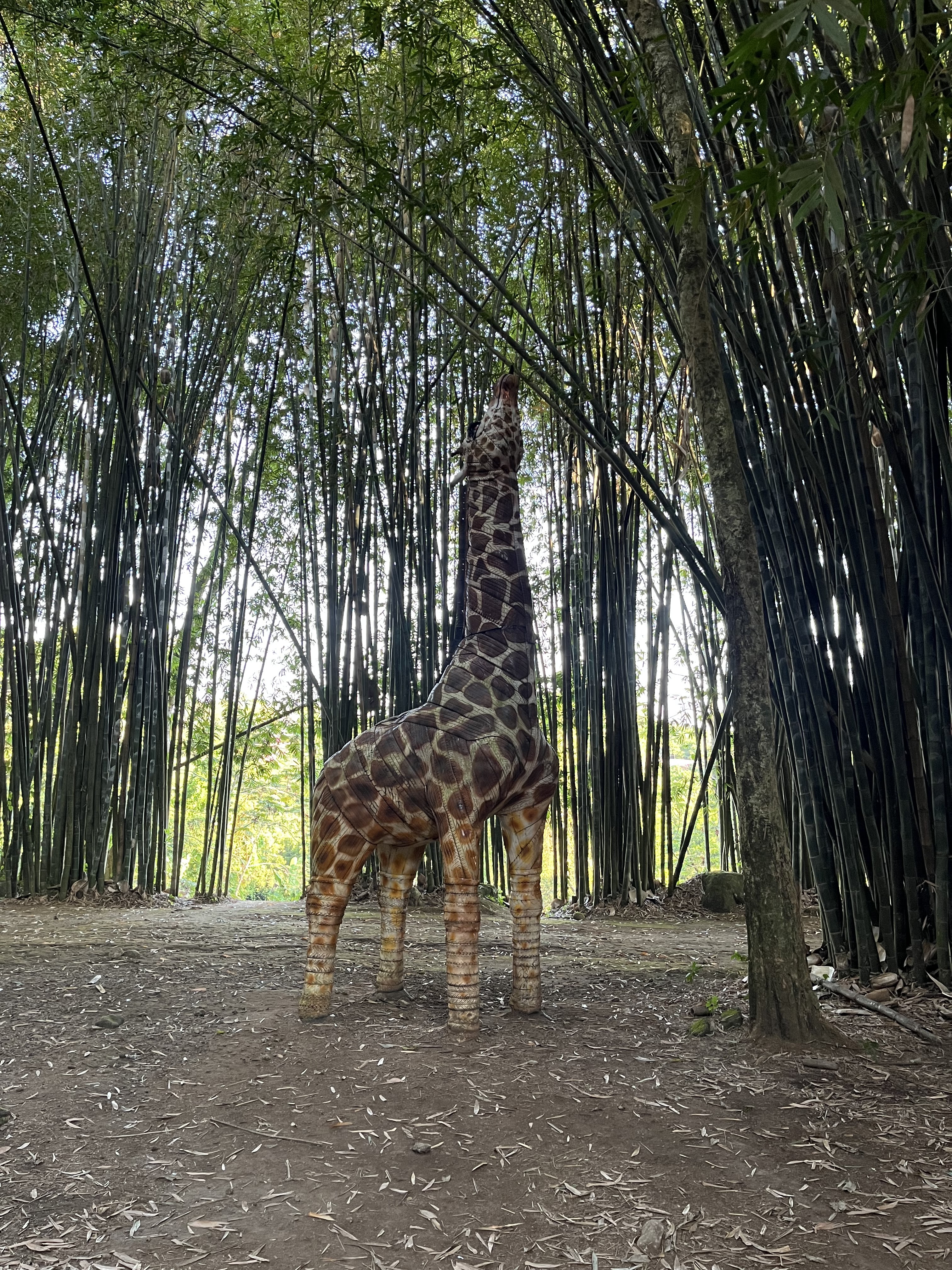 Villa de las Hortensias image 9
