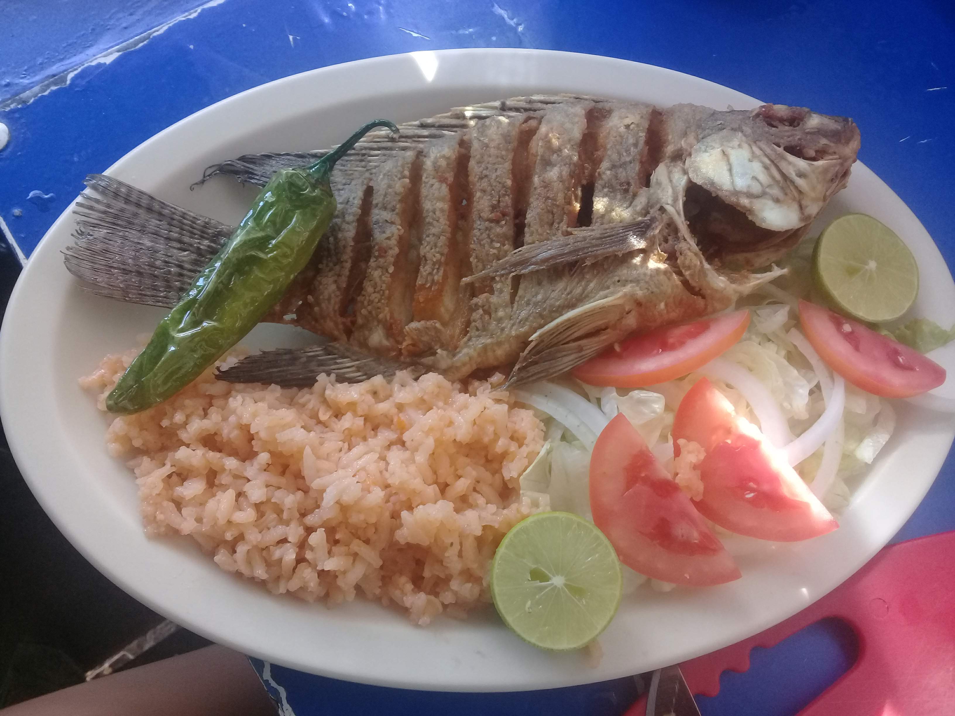 Pescados Y Mariscos Mary image 2