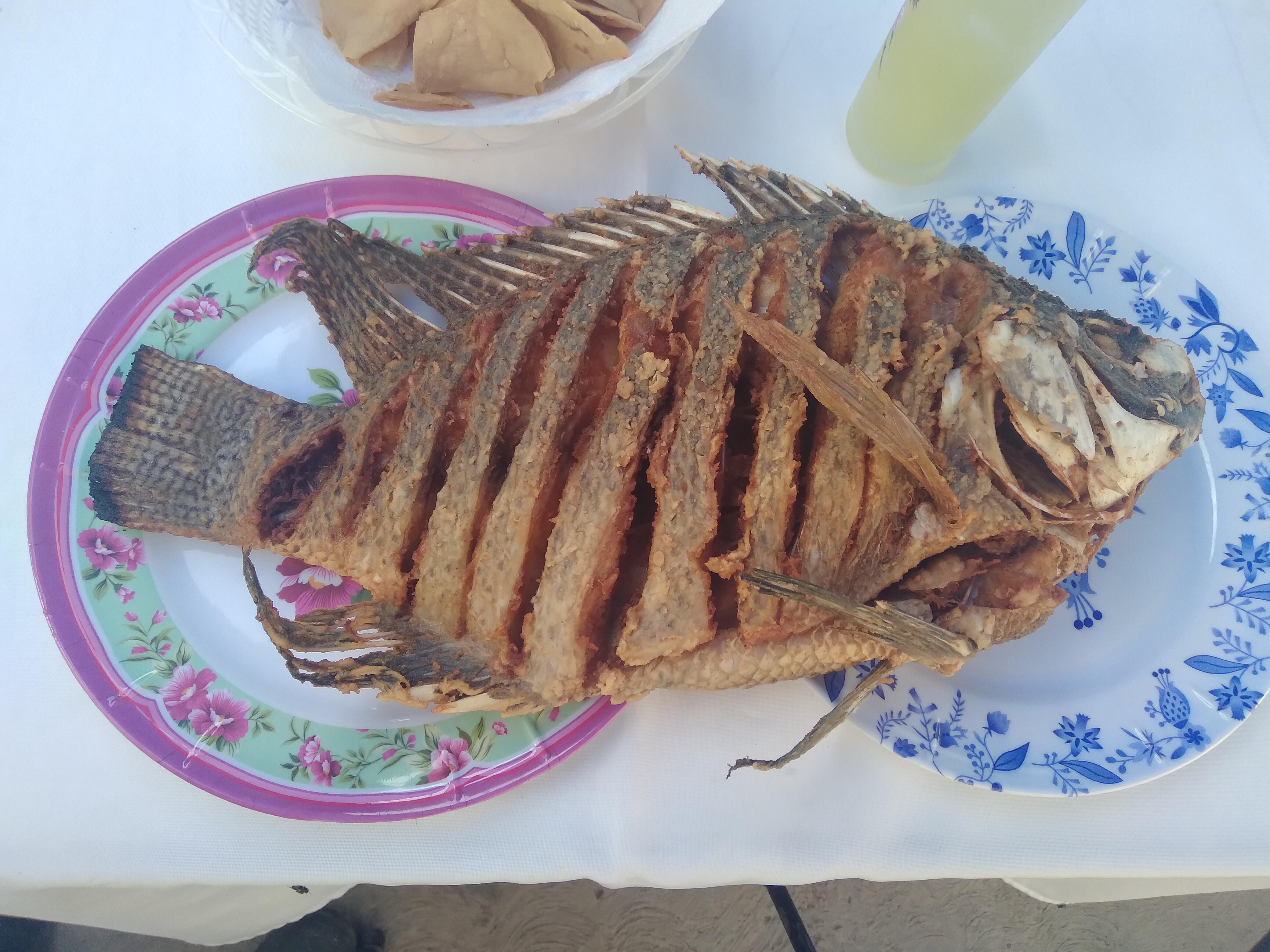 Pescados Y Mariscos Mary image 5