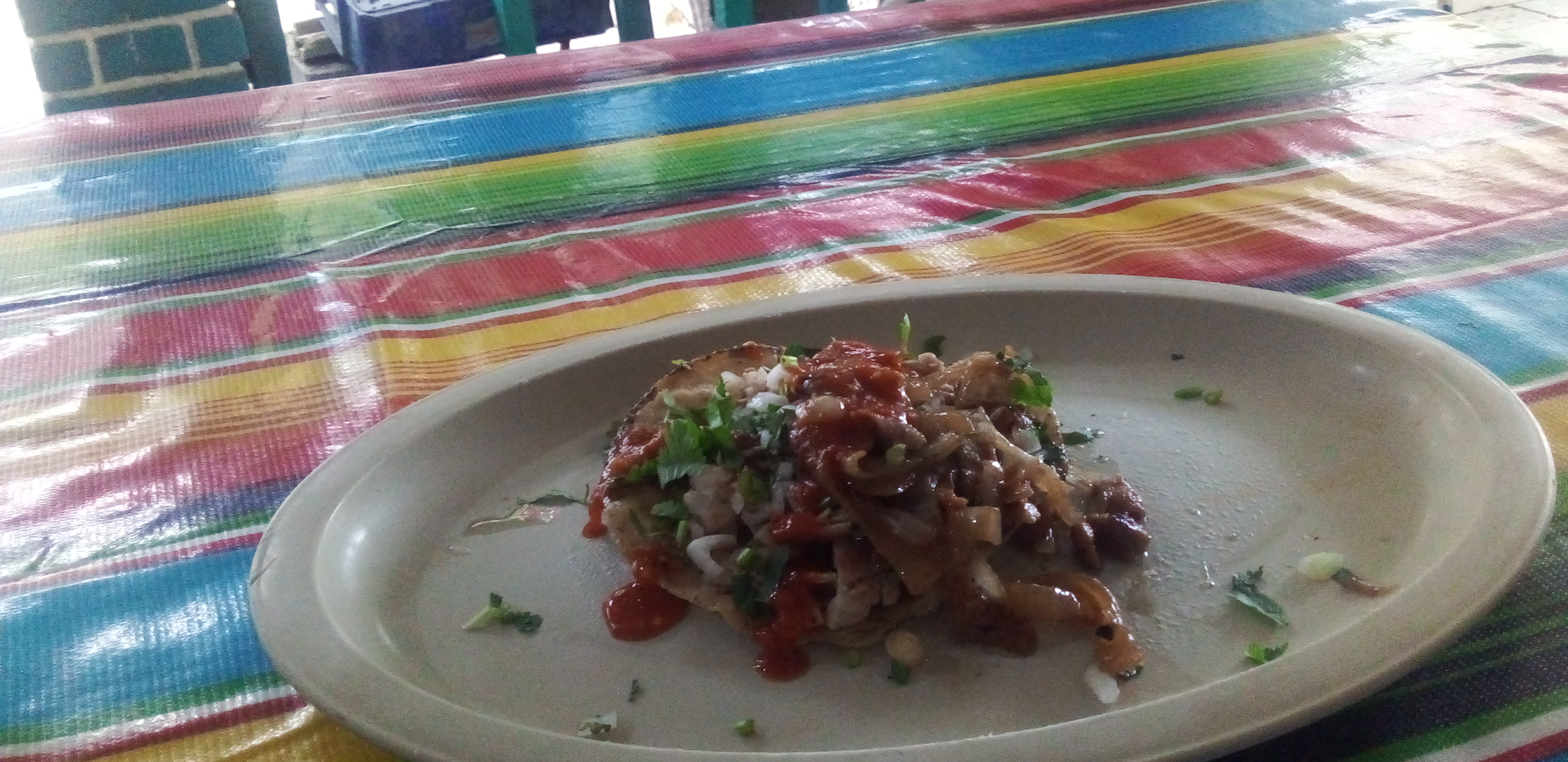 TAQUERIA GARCIA'S image 7