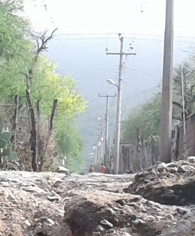 TAQUERIA GARCIA'S image 10