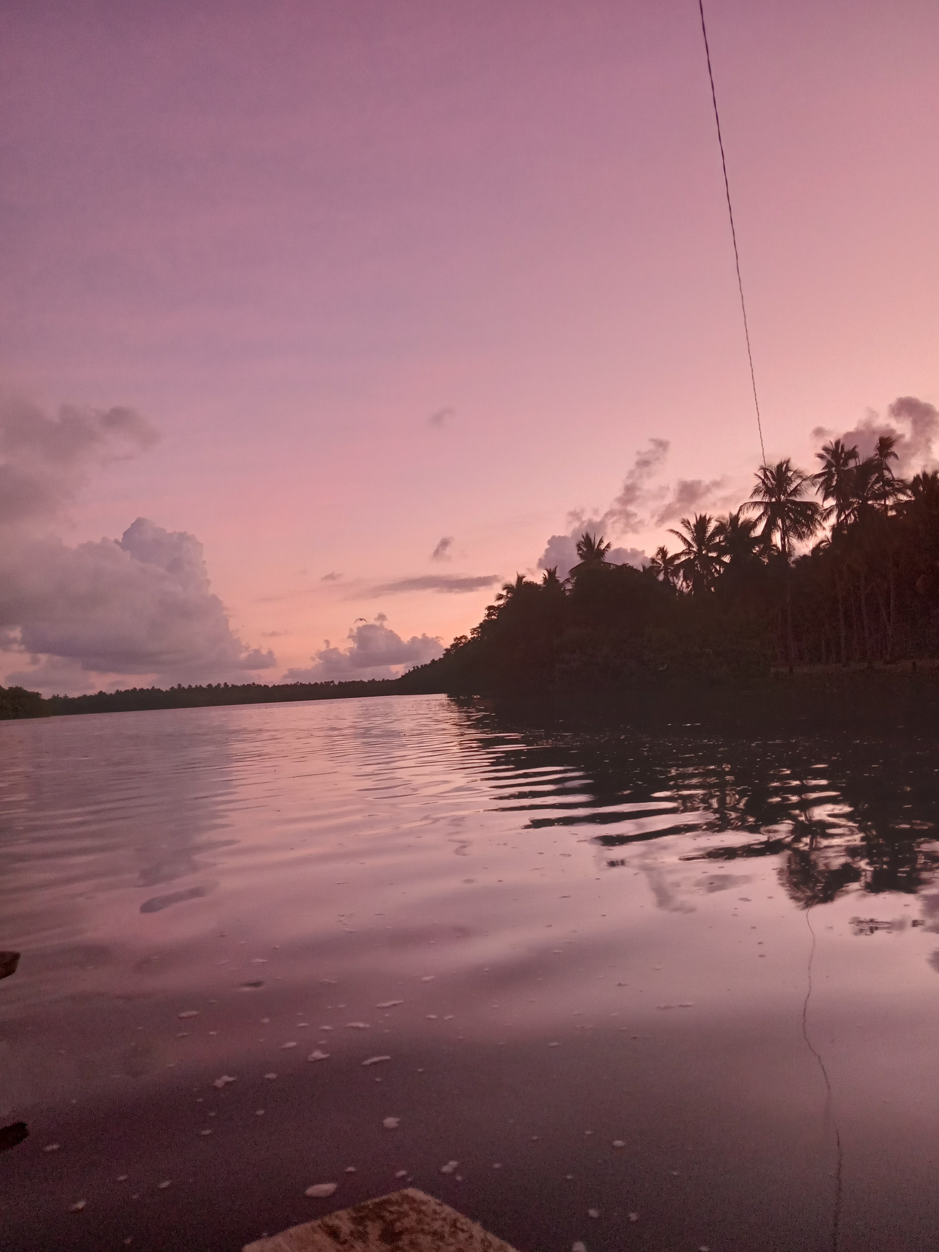 Palapa "BOCA DEL RIO" image 2