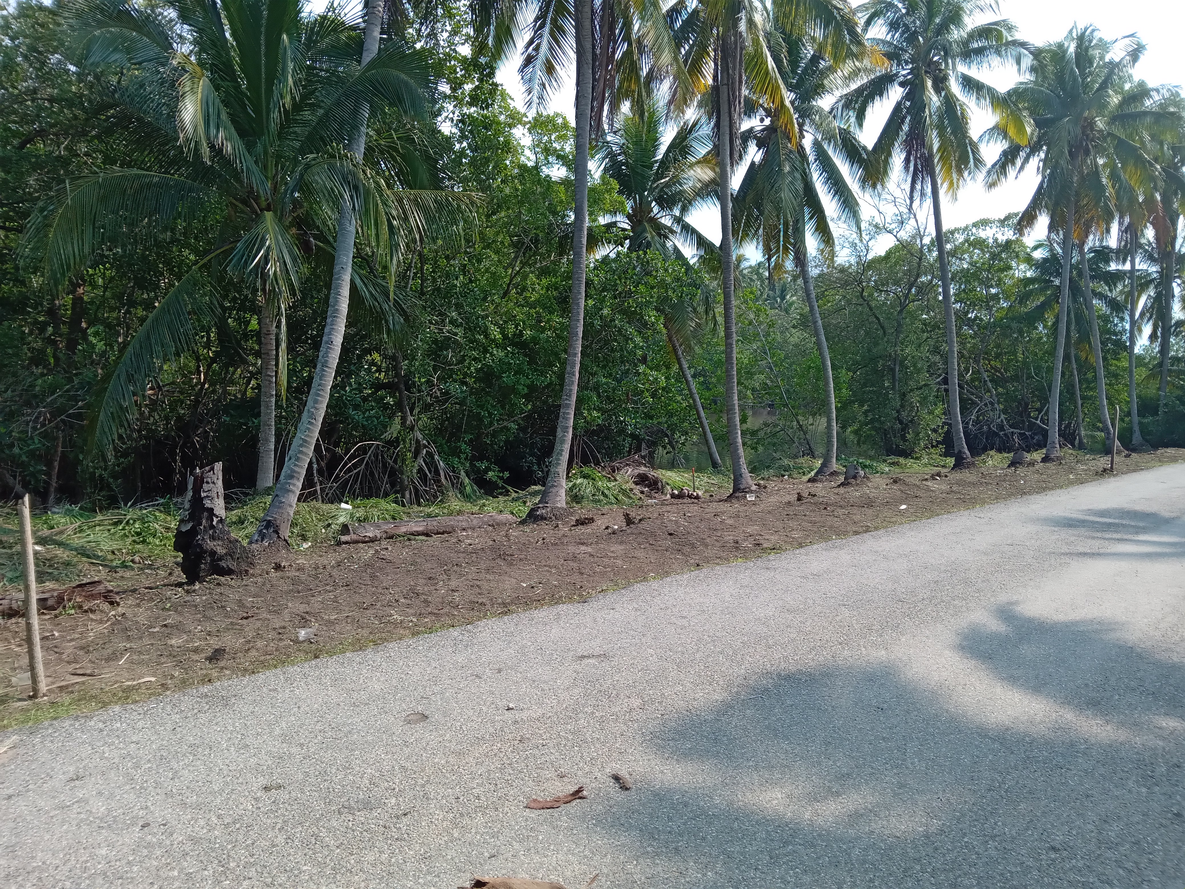 Palapa "BOCA DEL RIO" image 3
