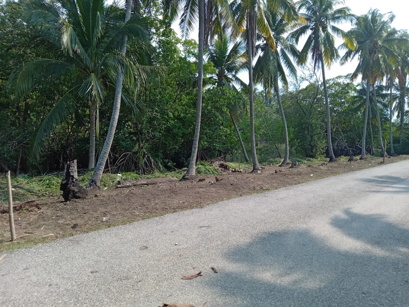 Palapa "BOCA DEL RIO" image 3