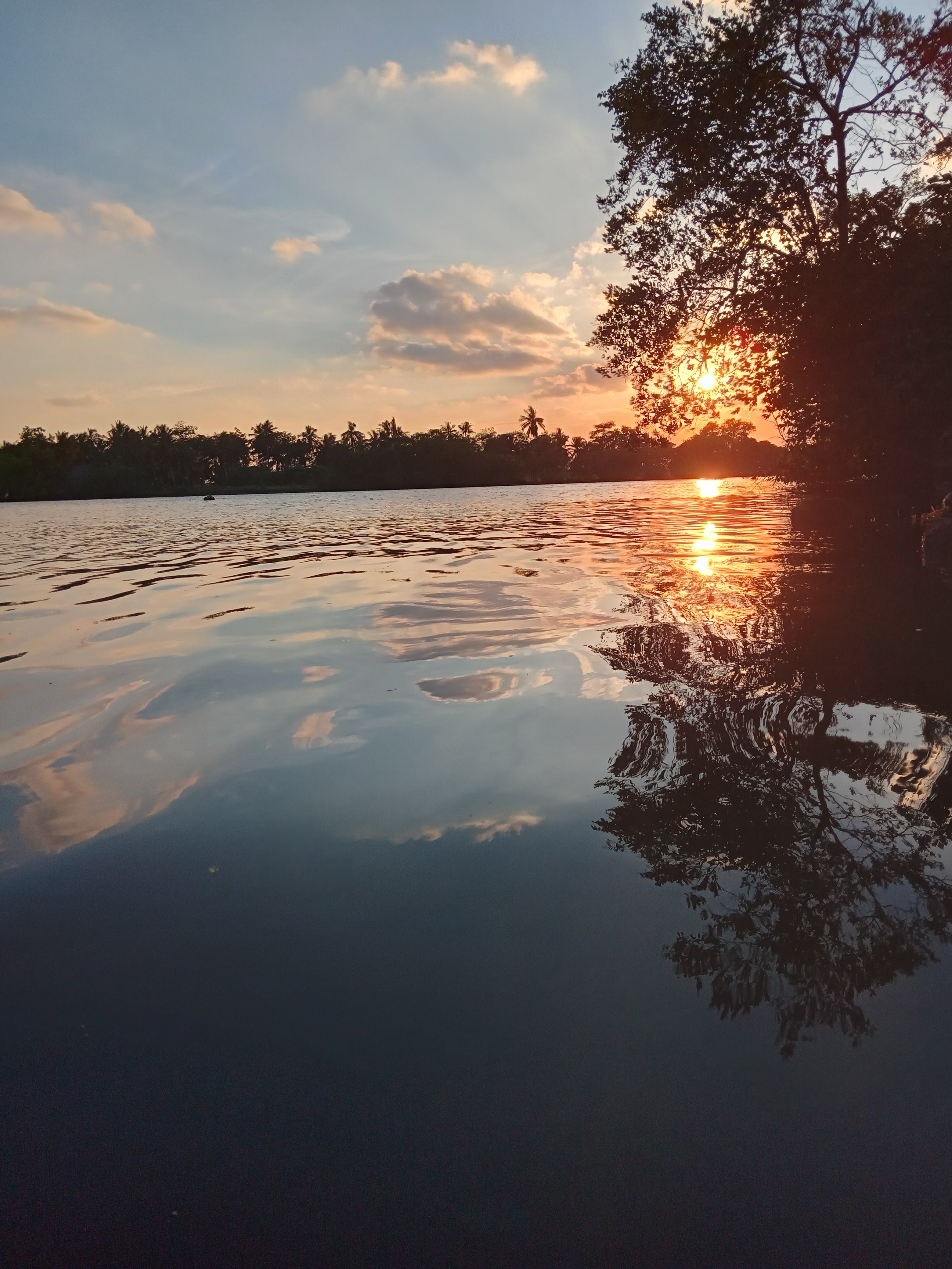 Palapa "BOCA DEL RIO" image 7