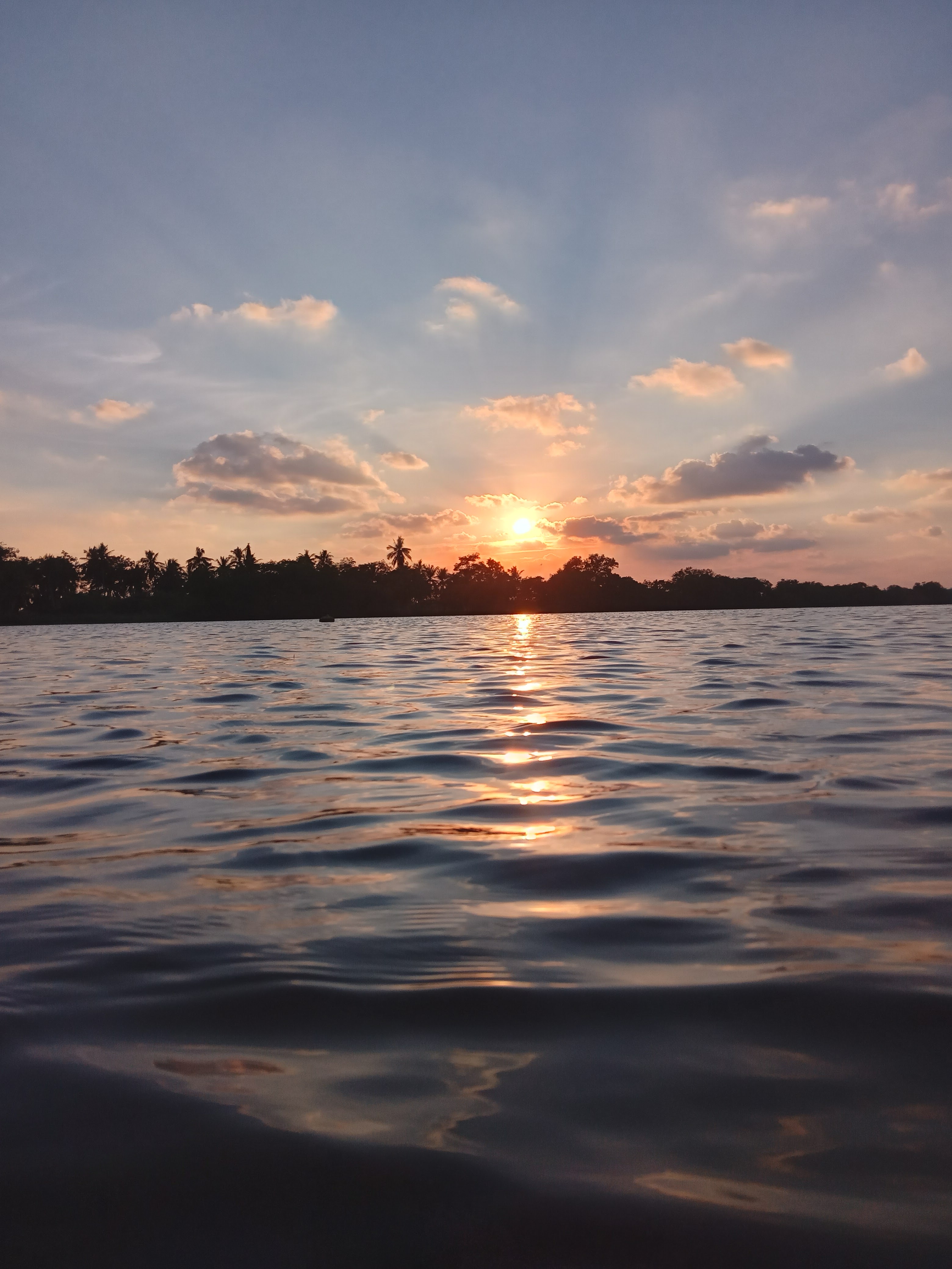 Palapa "BOCA DEL RIO" image 10