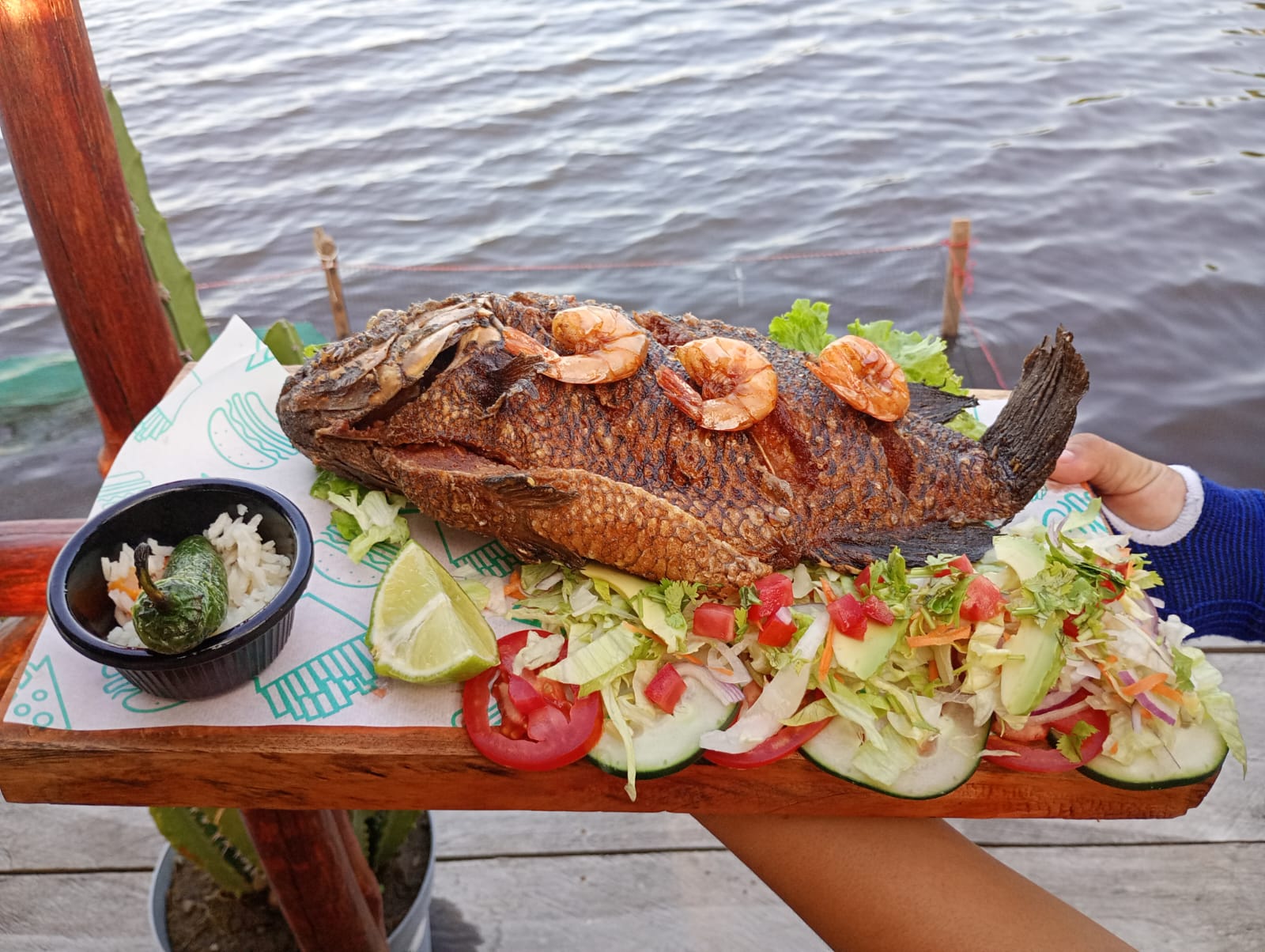 Palapa Familiar "EL MANGLAR" image 3