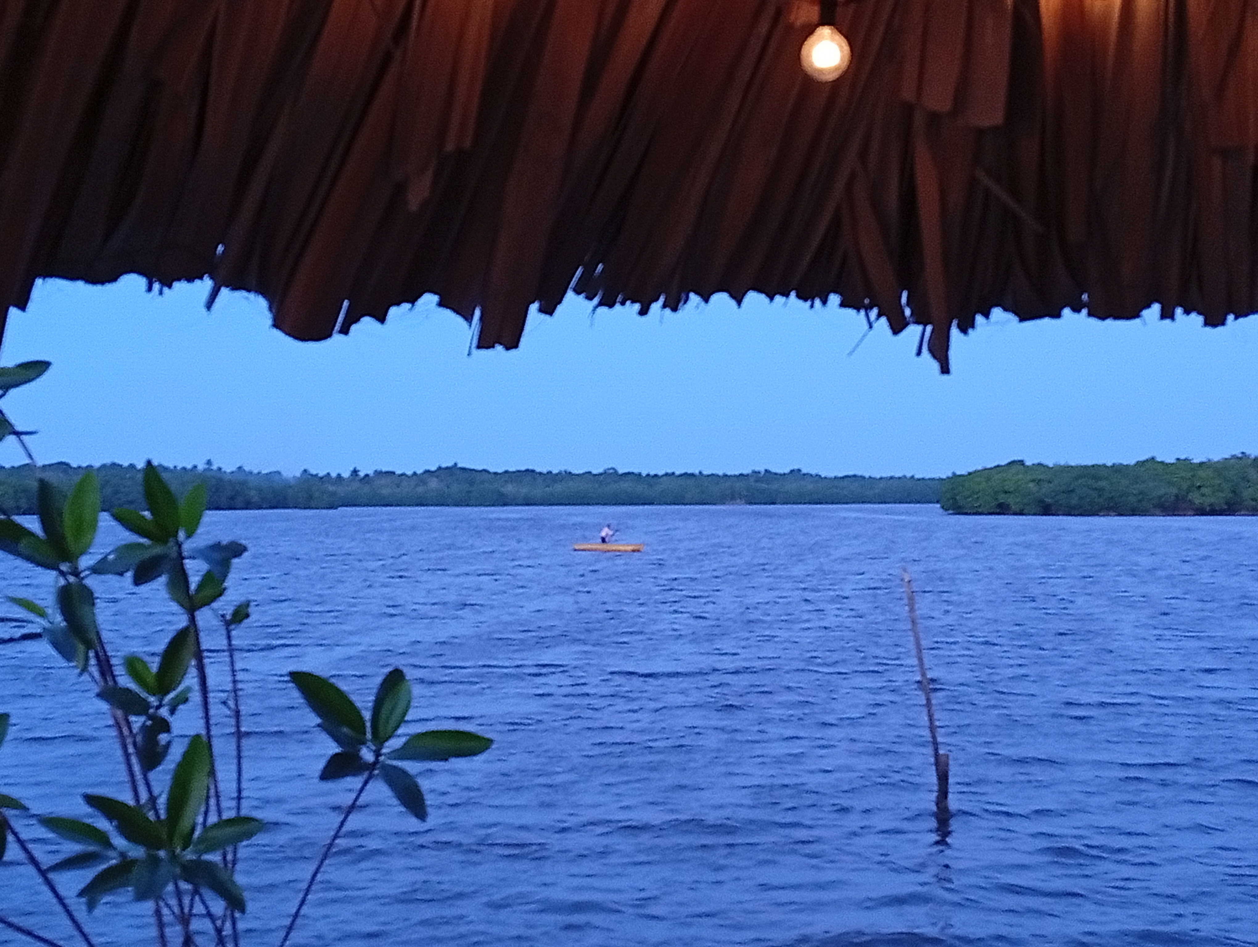 Palapa Familiar "EL MANGLAR" image 4