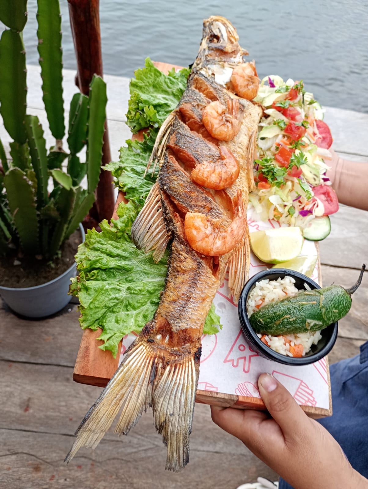 Palapa Familiar "EL MANGLAR" image 5