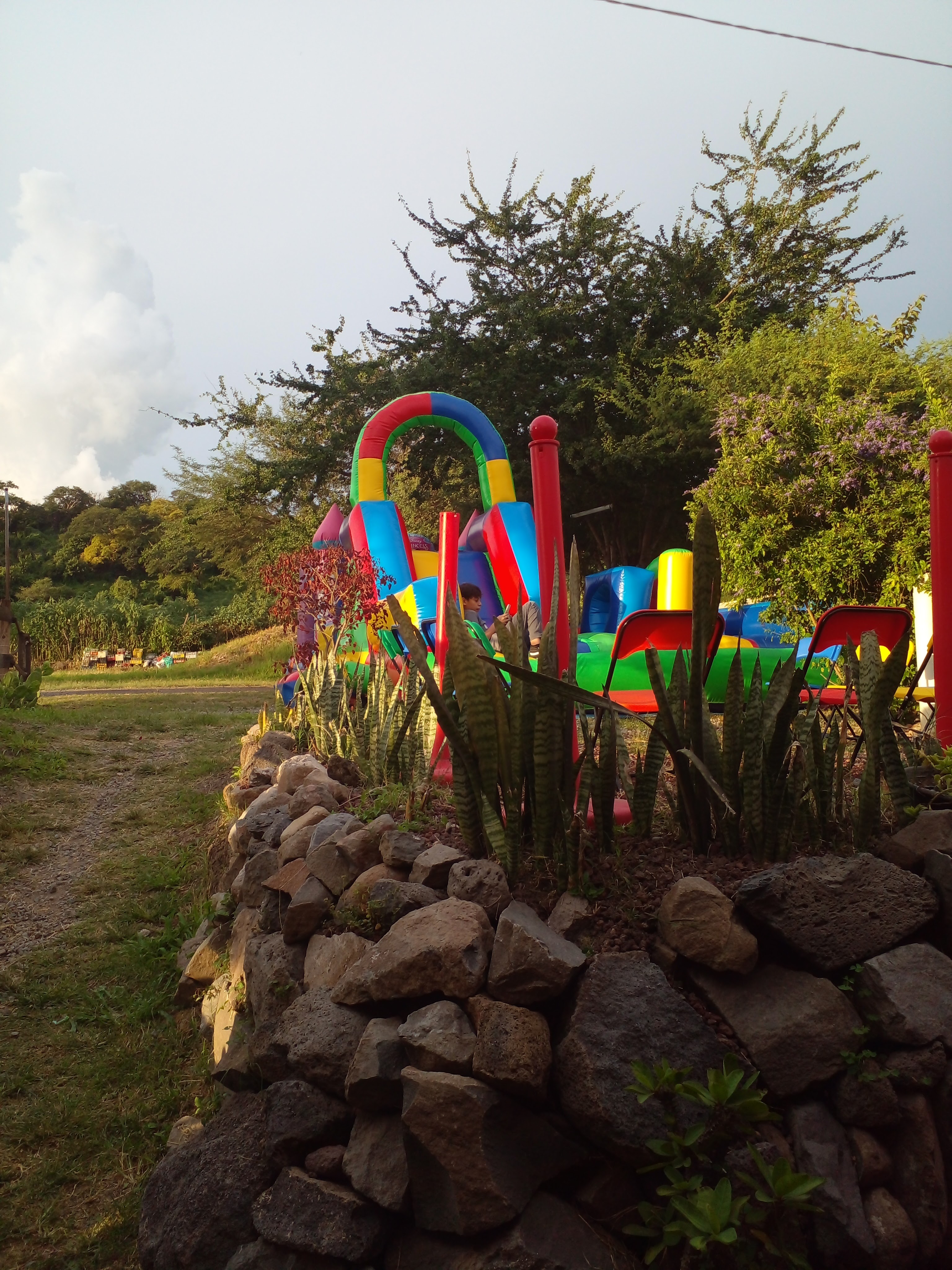 POLLO ALAS BRASAS ("LOS MEJORES POLLOS DE SABORES") image 3