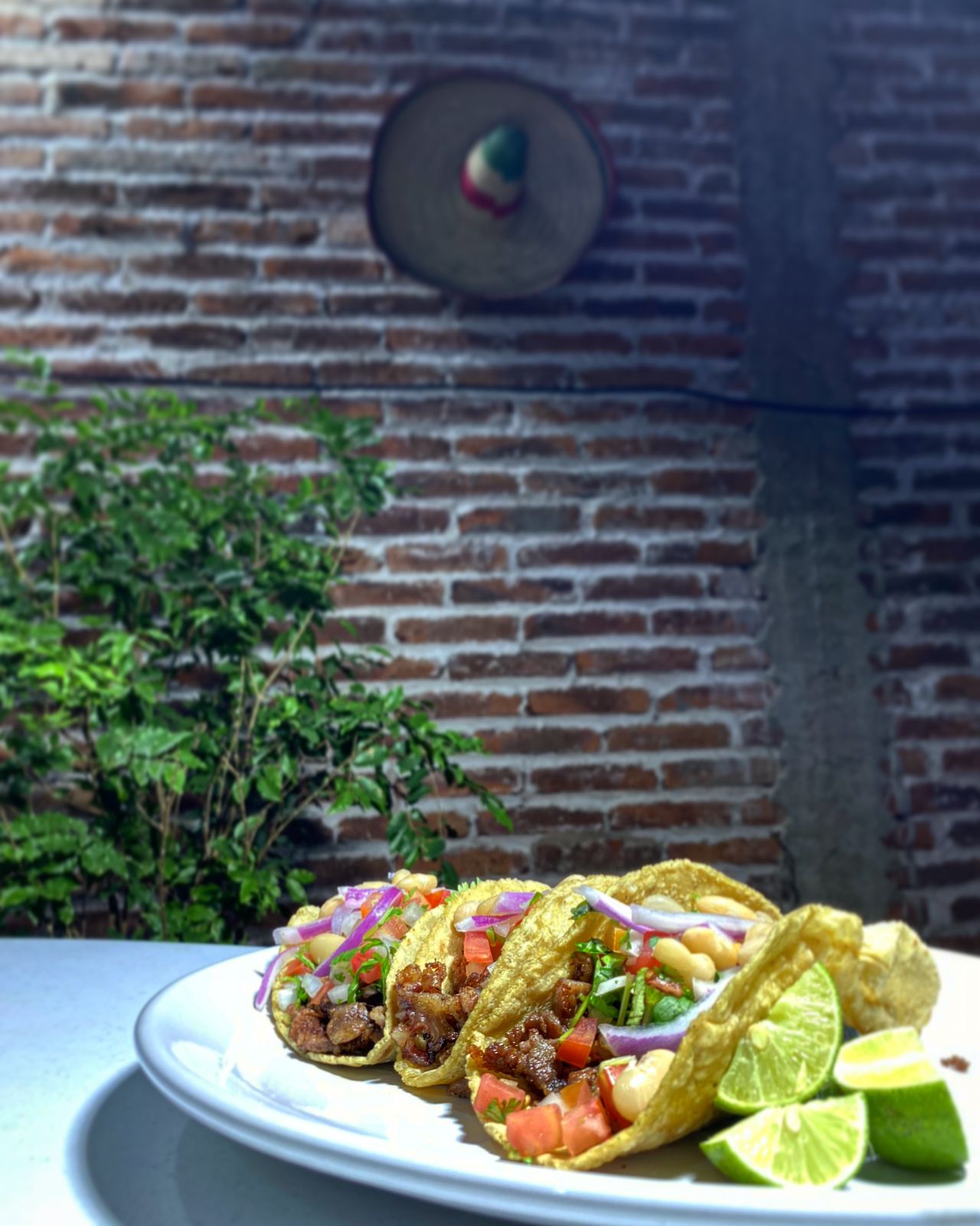 Tacos de Asada EL PAISO image 4