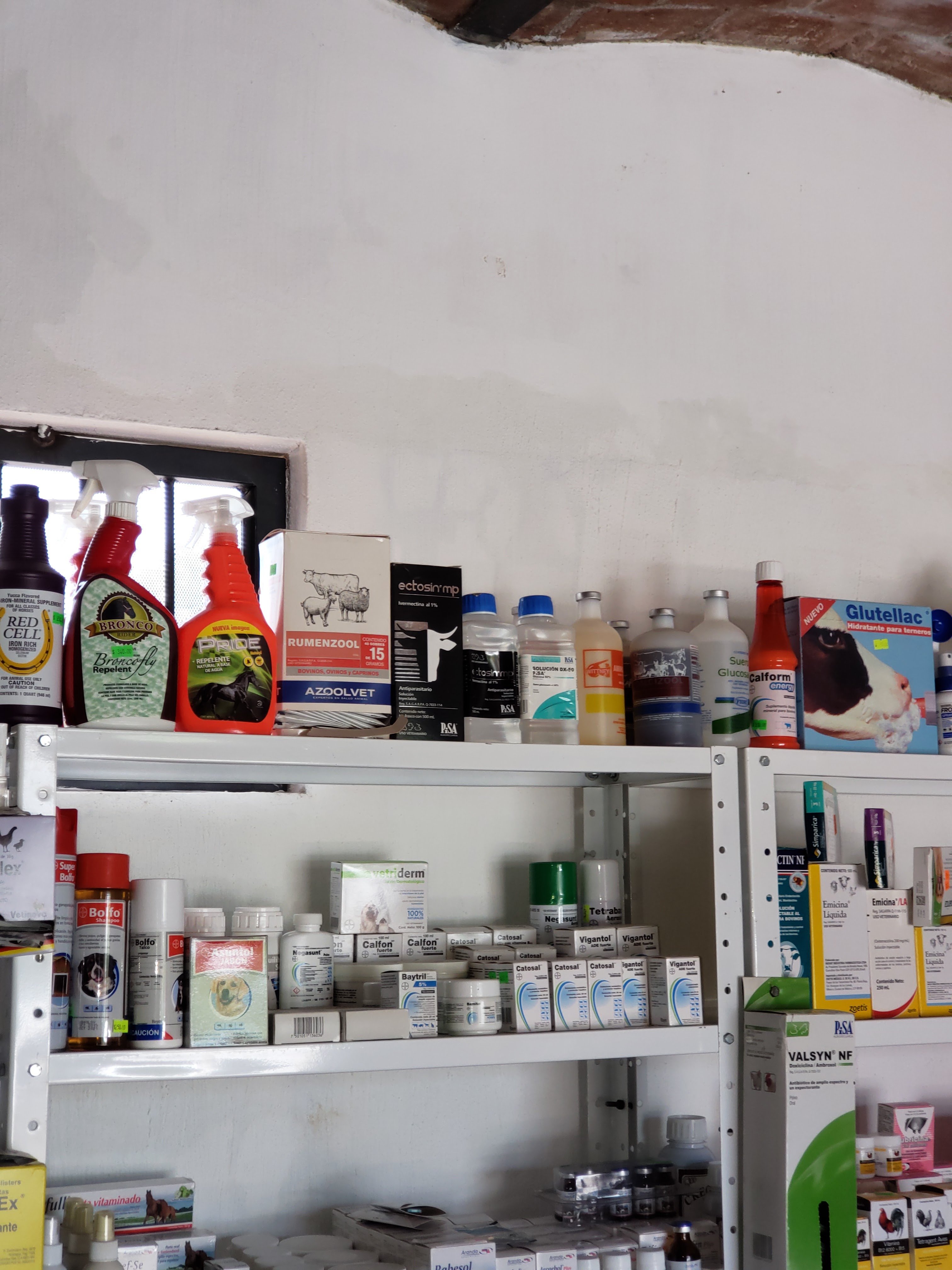 Loncheria Mayra image 3