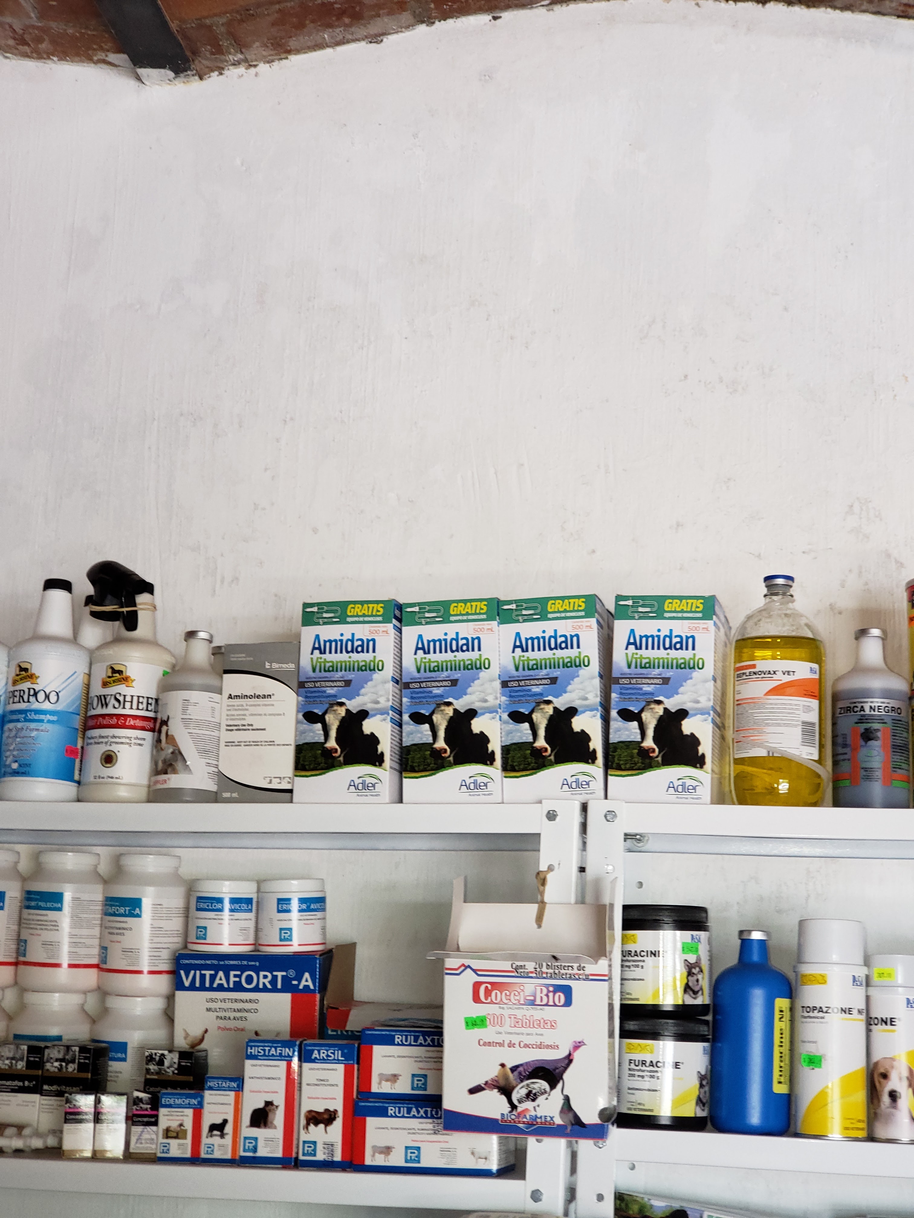 Loncheria Mayra image 4